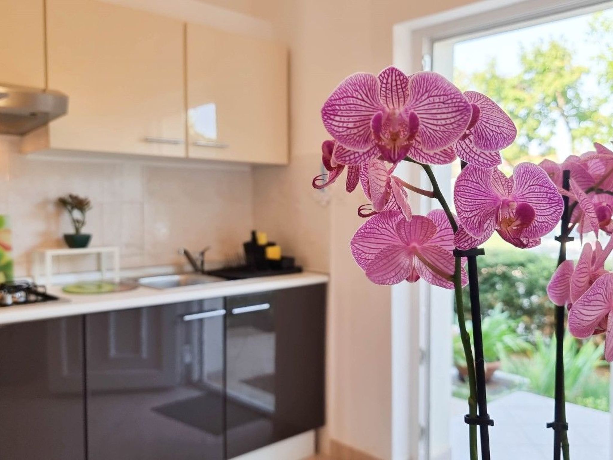 Bosko - Wohnung 250m vom Meer entfernt für 4 Personen-Image-tags.info