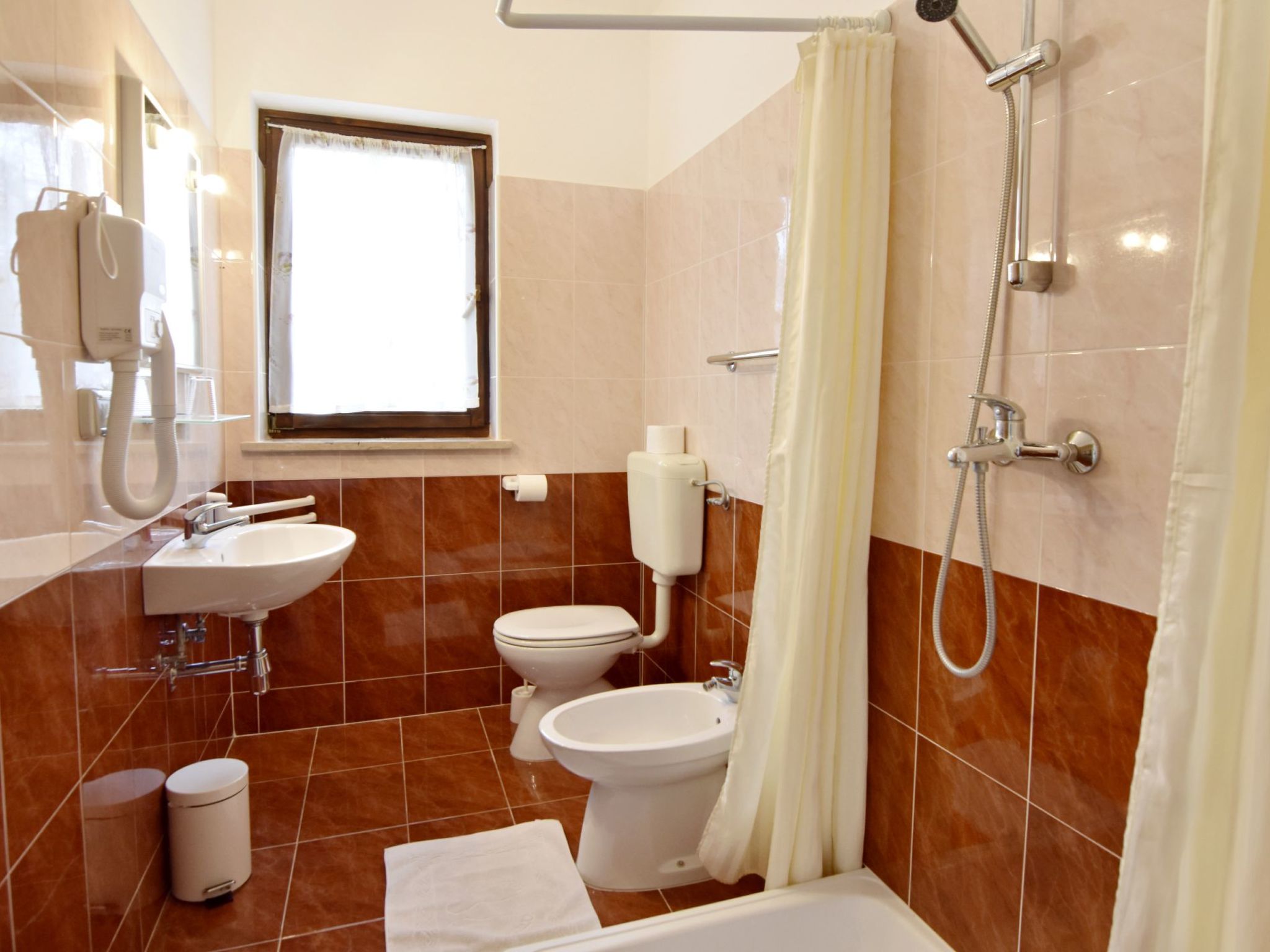 ALBINA B4-Image-tags.info