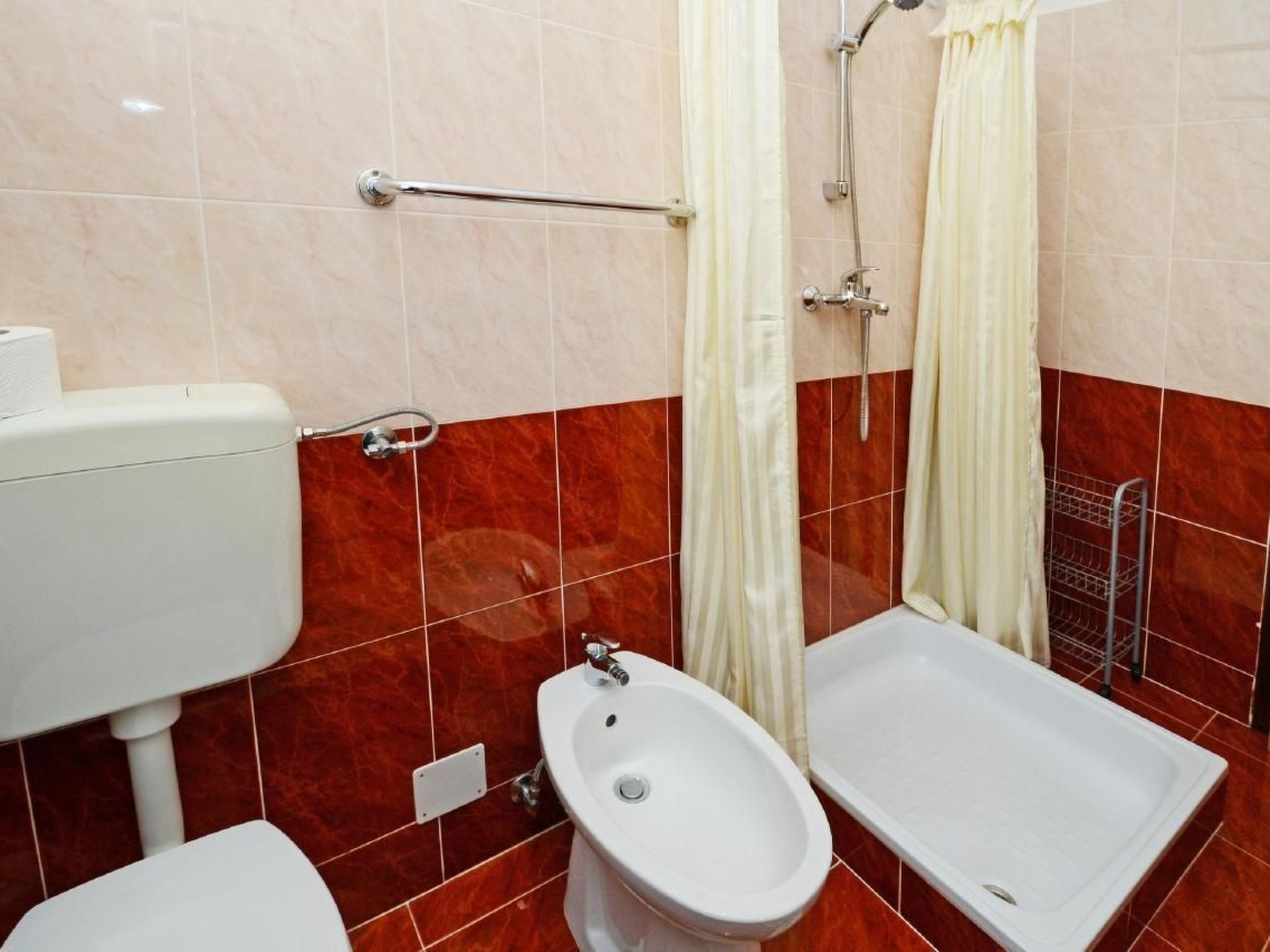 ALBINA B4-Image-tags.info