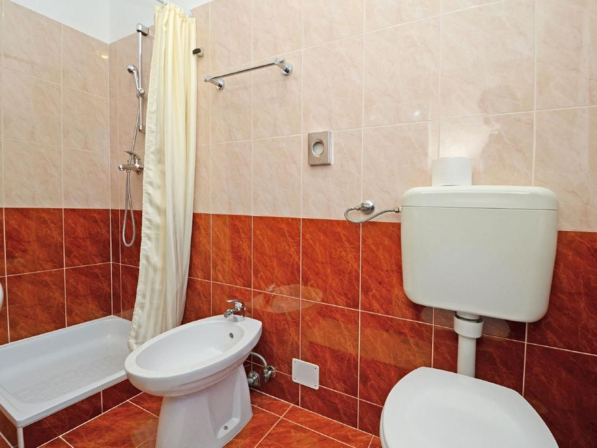 ALBINA B4-Image-tags.info