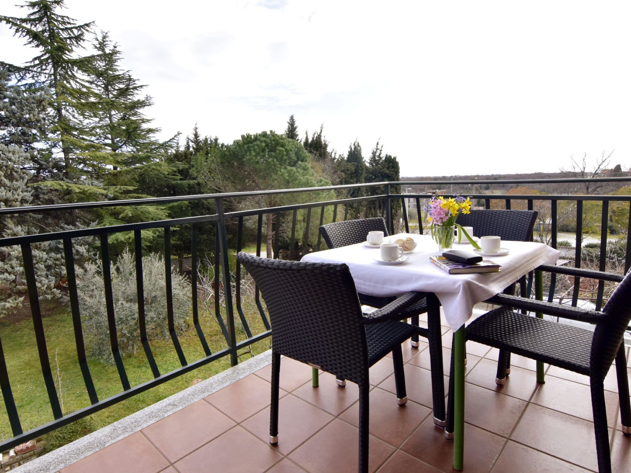 ALBINA B4-Image-tags.info