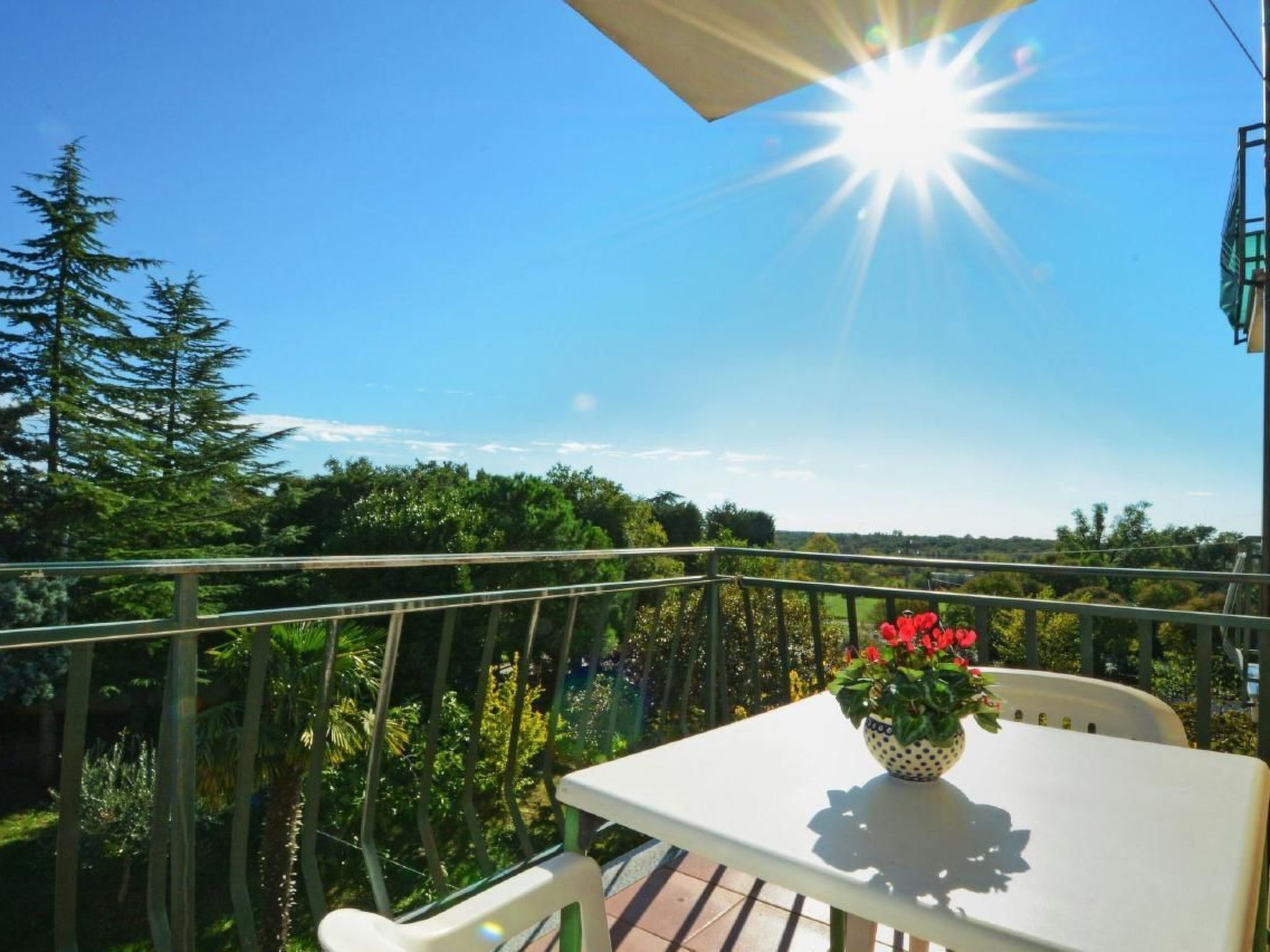 ALBINA B4-Image-tags.info