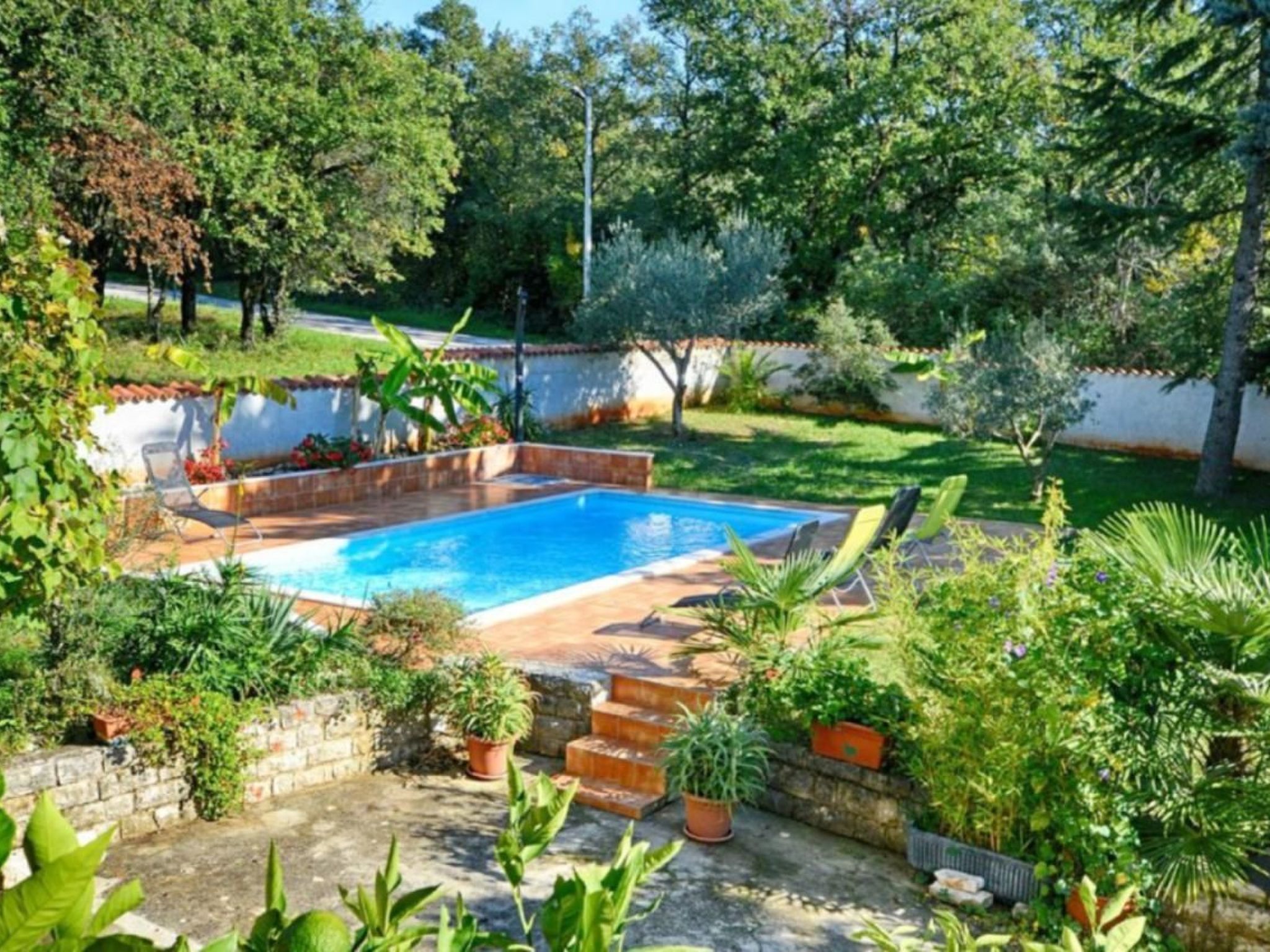 ALBINA B4-Image-tags.info