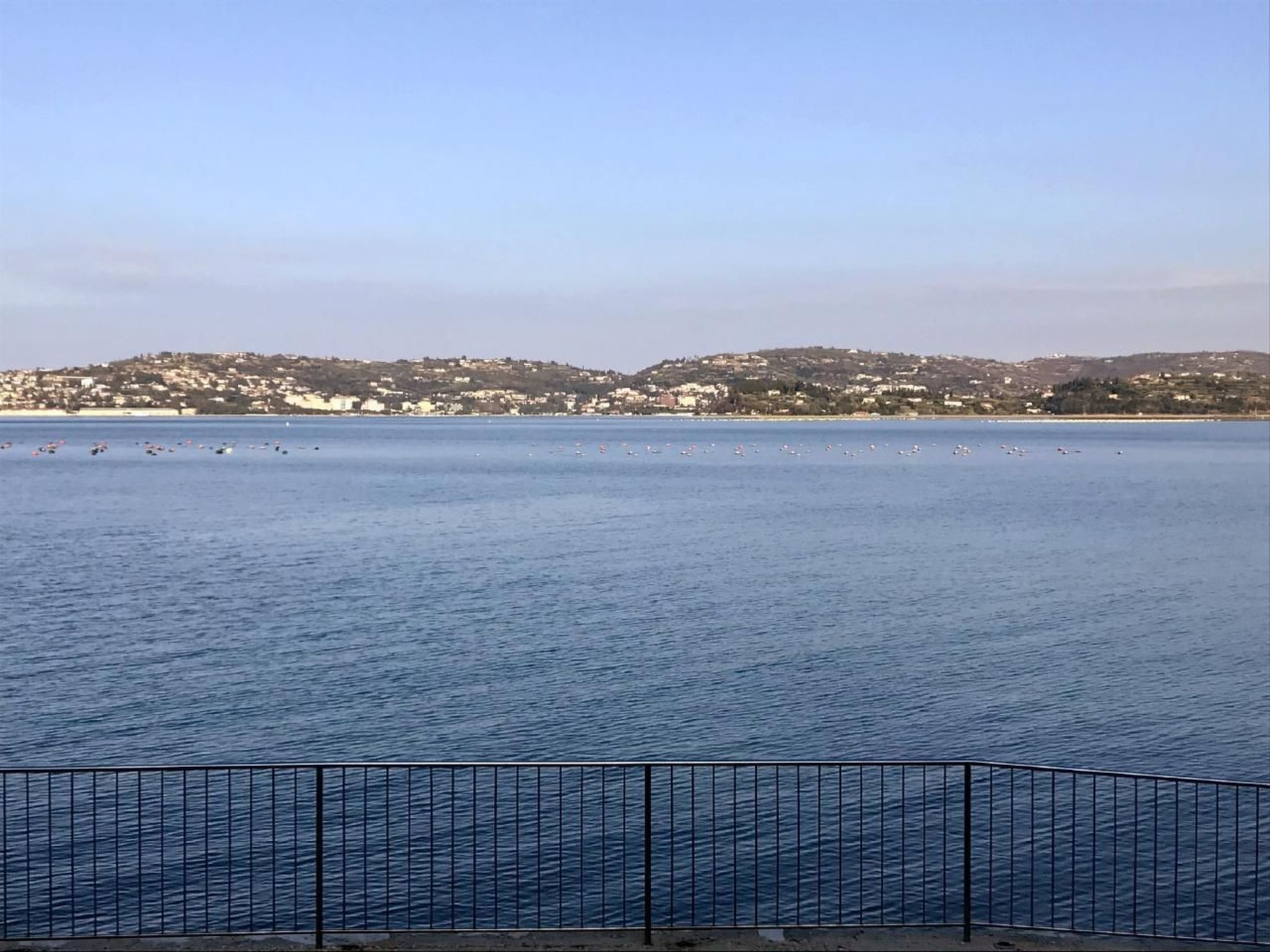 ALBINA B4-Image-tags.info