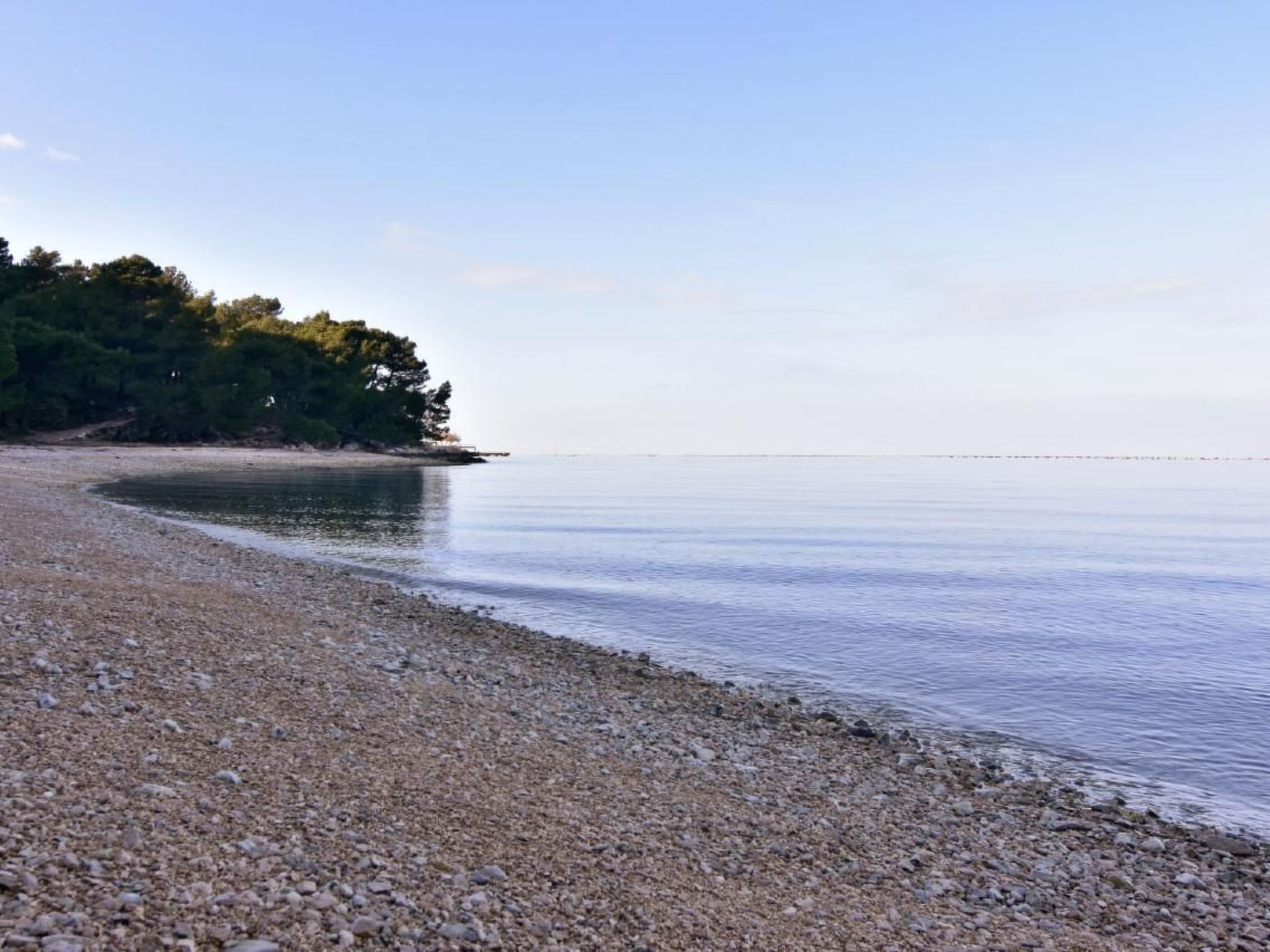 ALBINA B4-Image-tags.info