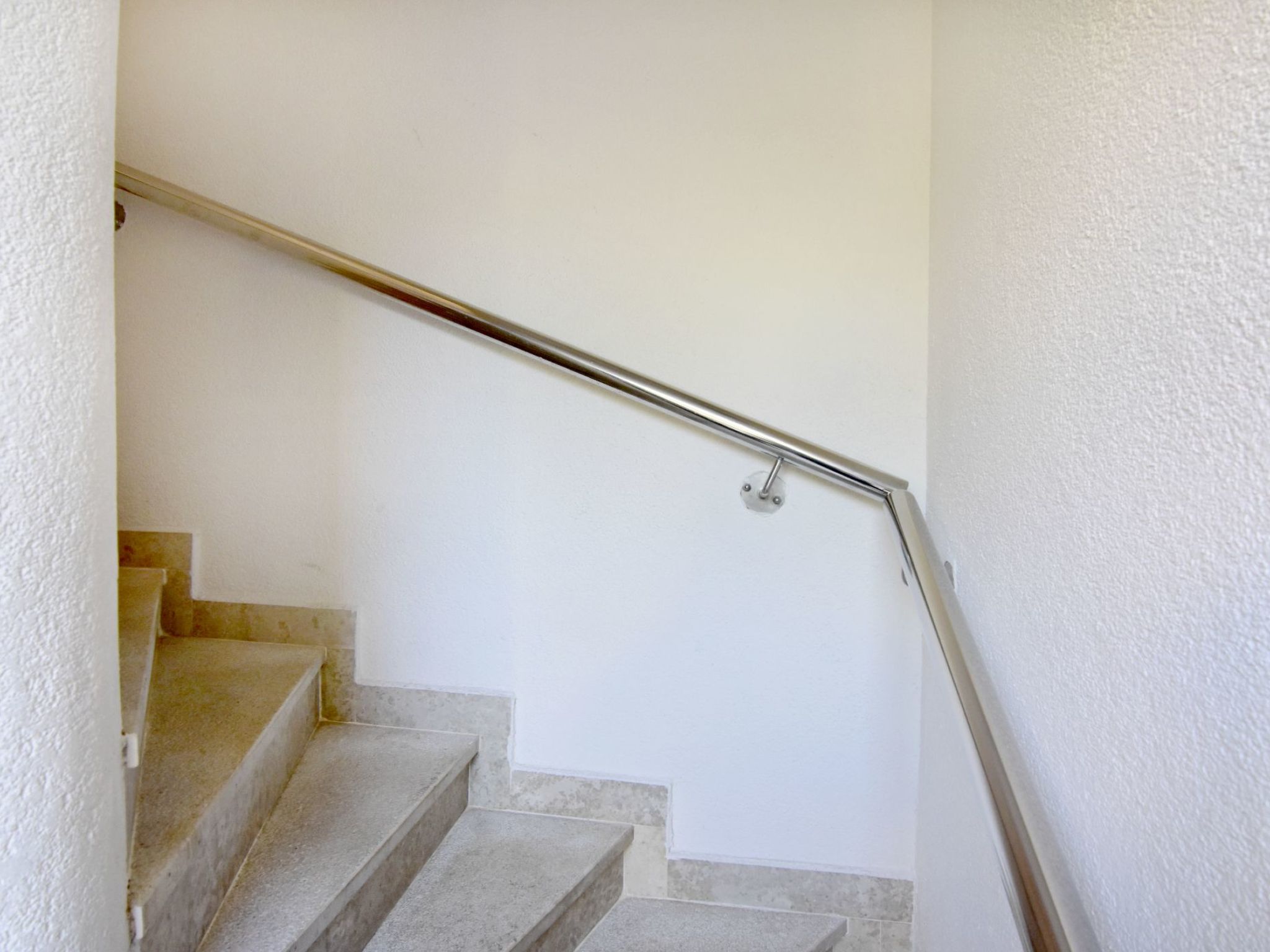 Alpa 5-Image-tags.info