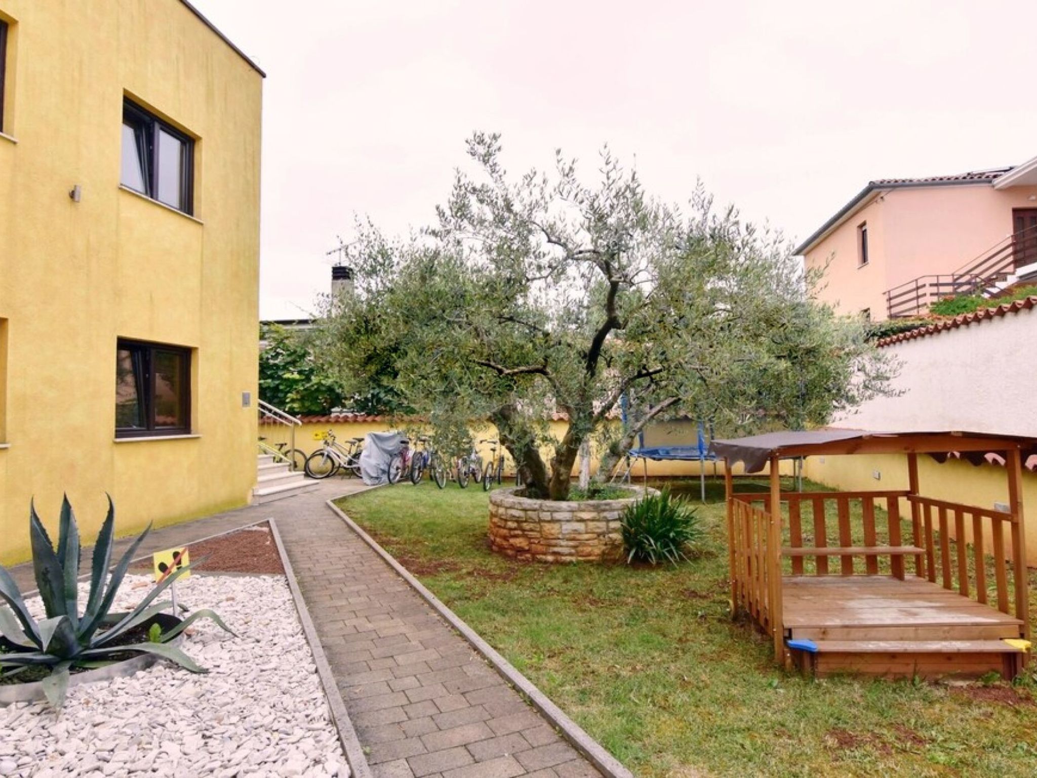 Alpa 5-Image-tags.info