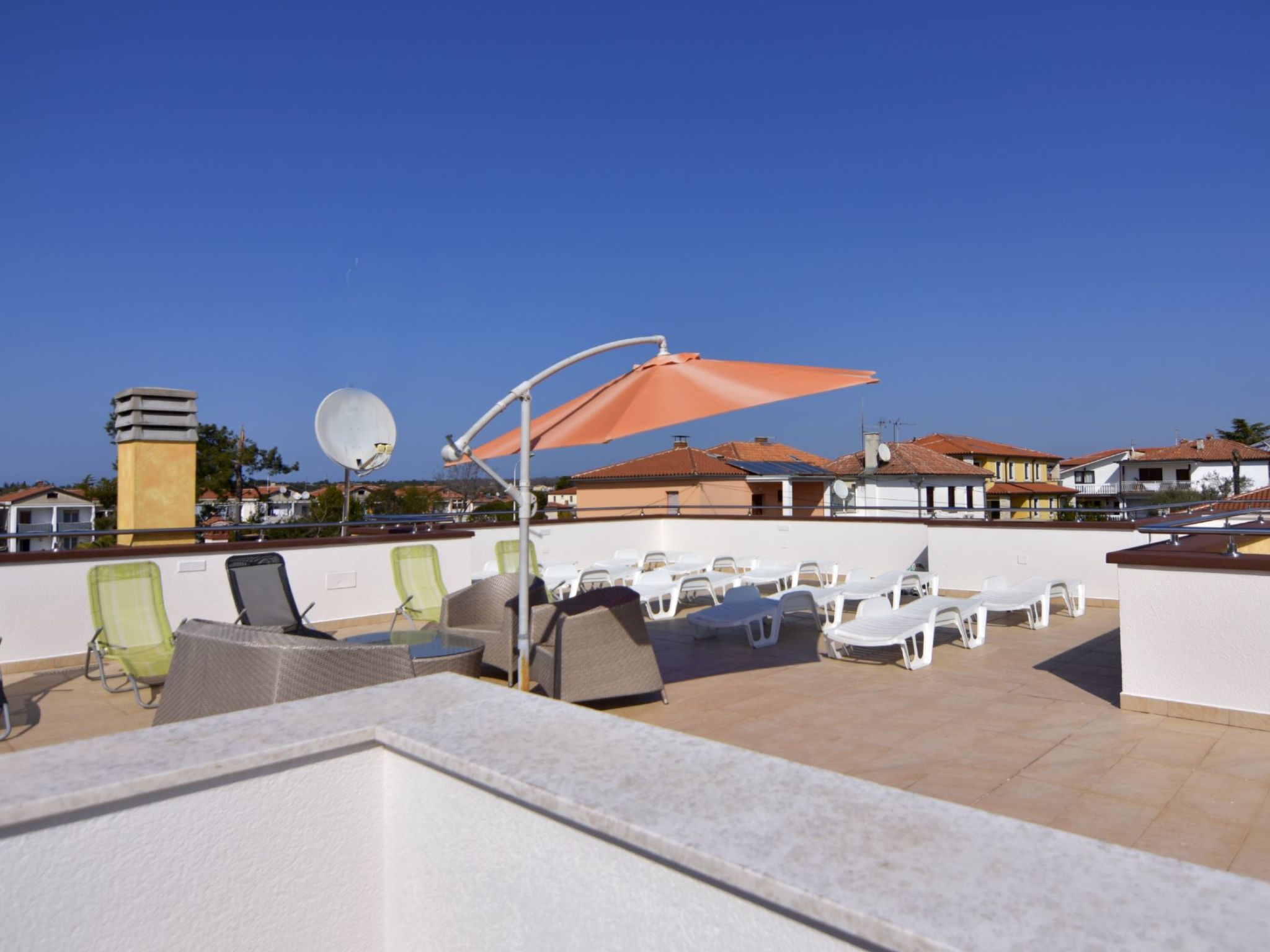 Alpa 5-Image-tags.info