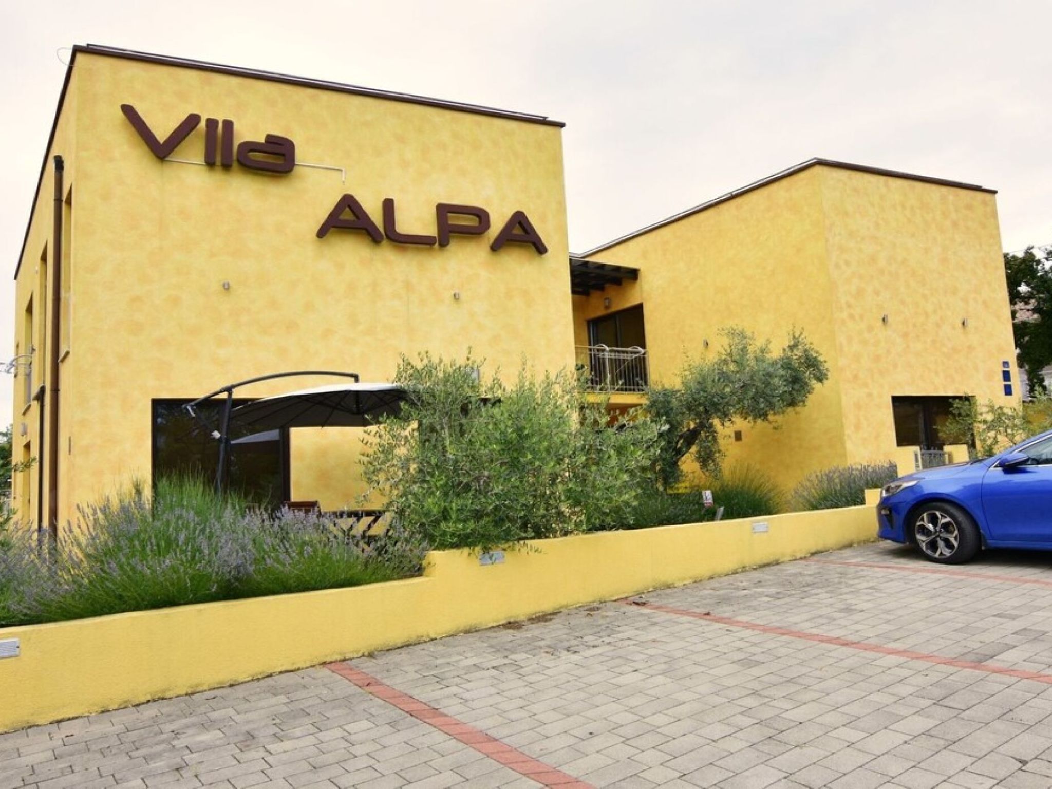 Alpa 5-Image-tags.info