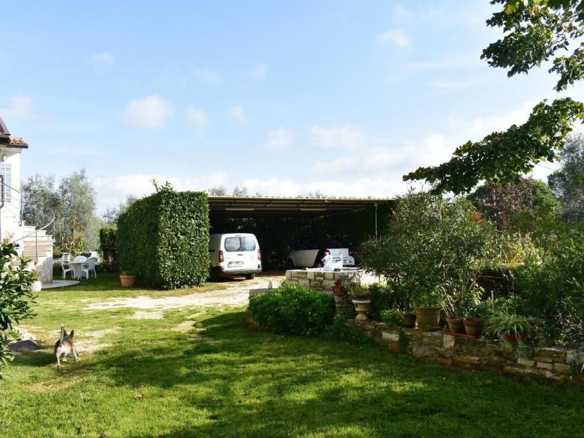 LOREDANA STUDIO-Image-tags.info