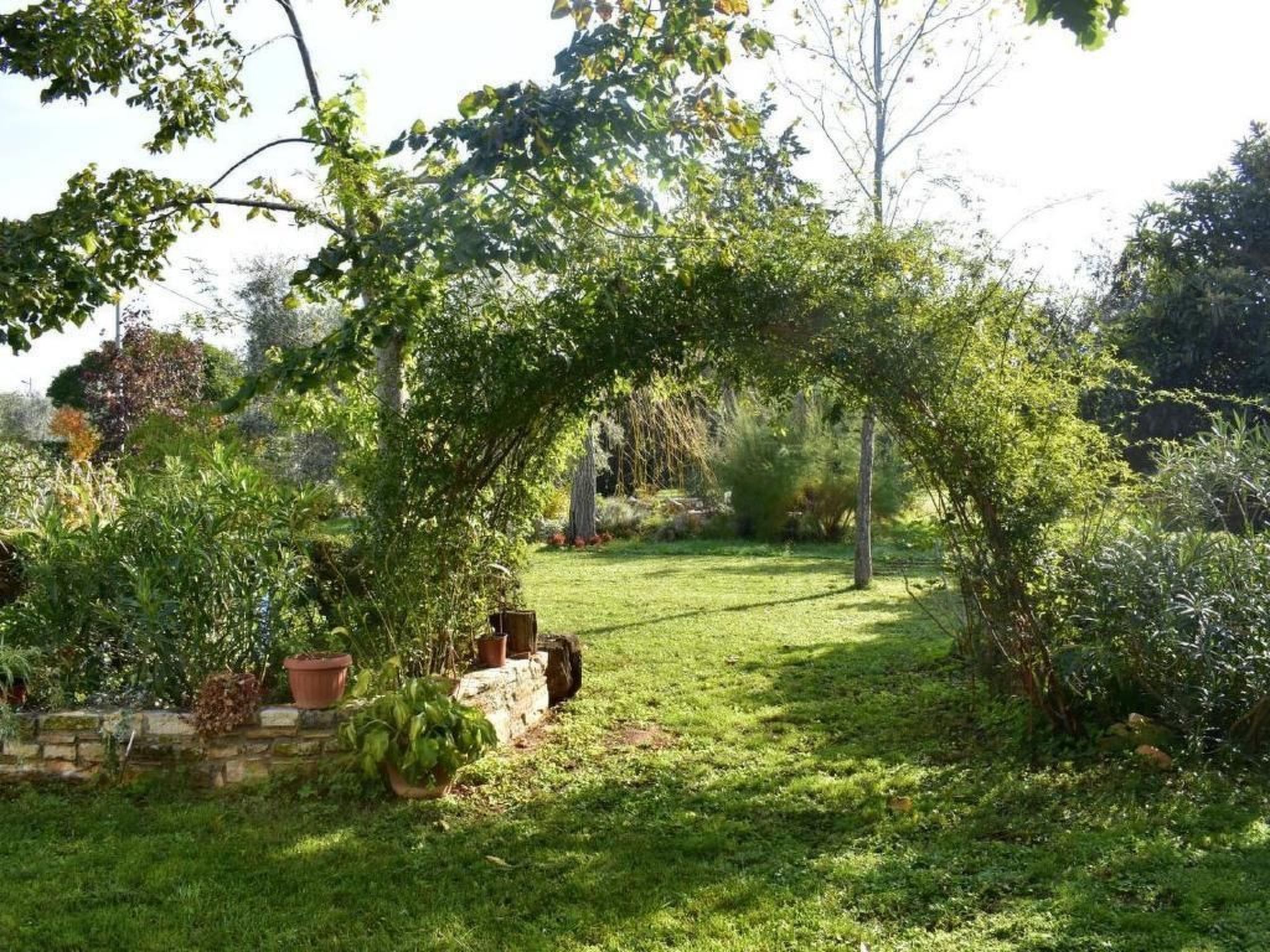 LOREDANA STUDIO-Image-tags.info