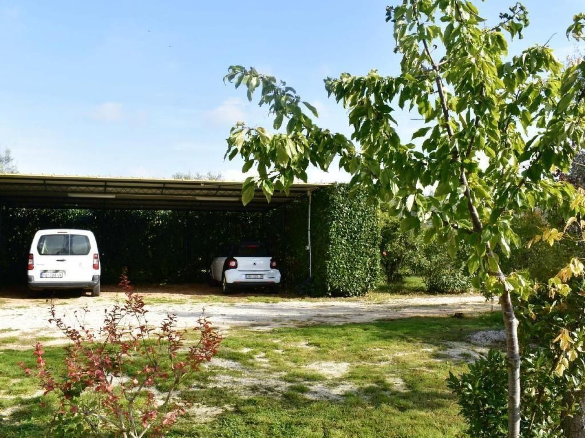 LOREDANA STUDIO-Image-tags.info