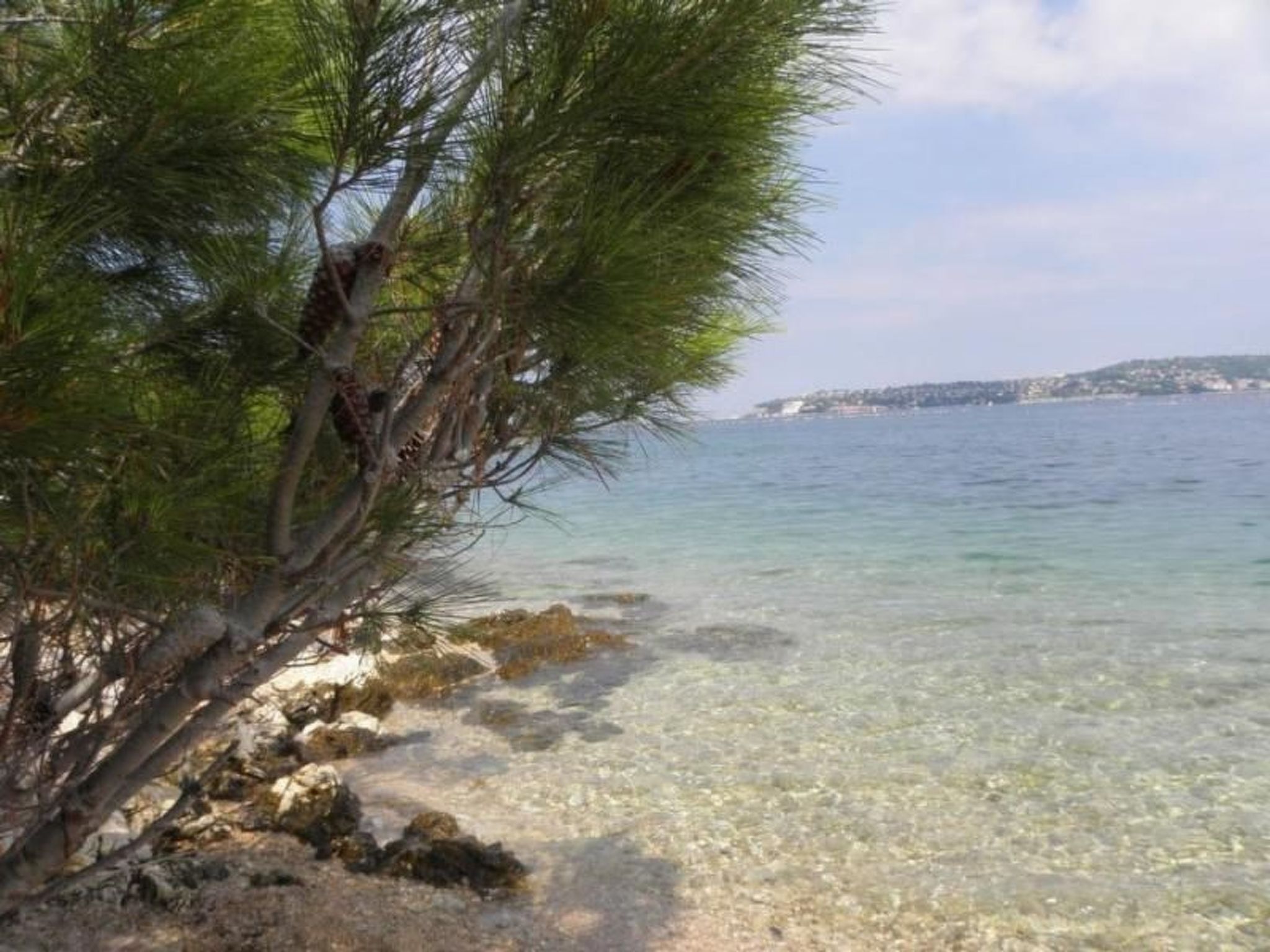 LOREDANA STUDIO-Image-tags.info