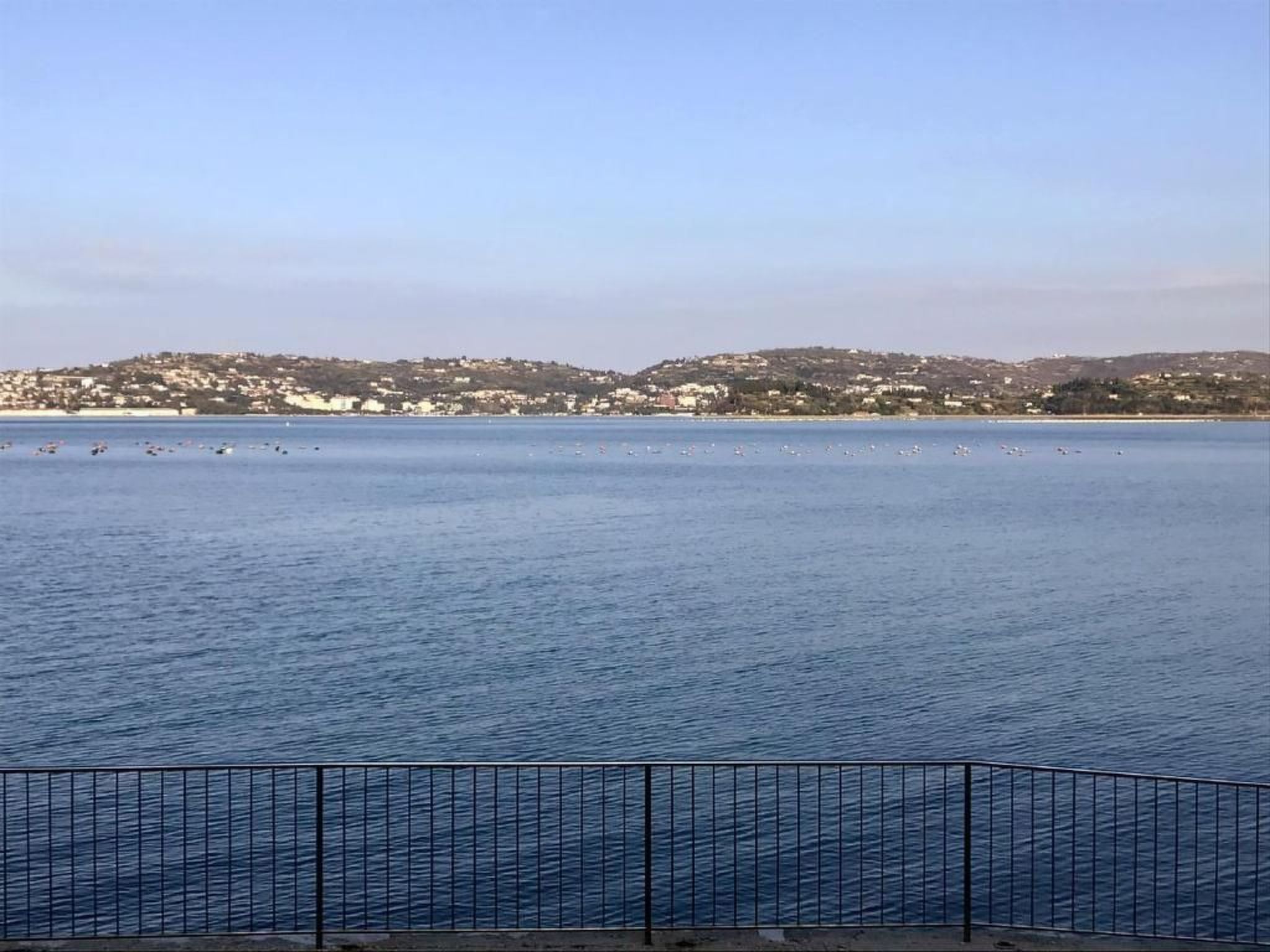 LOREDANA STUDIO-Image-tags.info