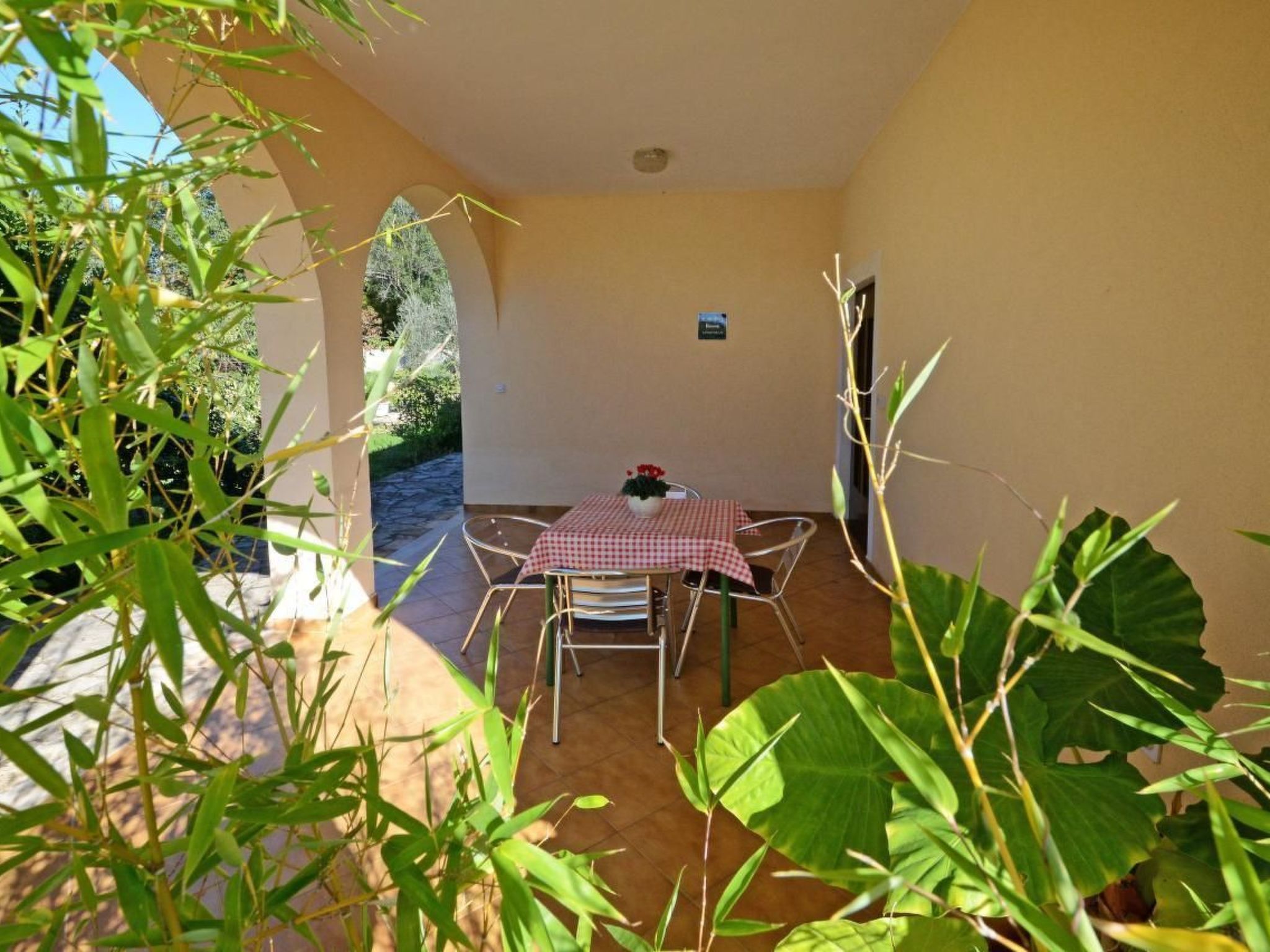 ALBINA 1-Image-tags.info