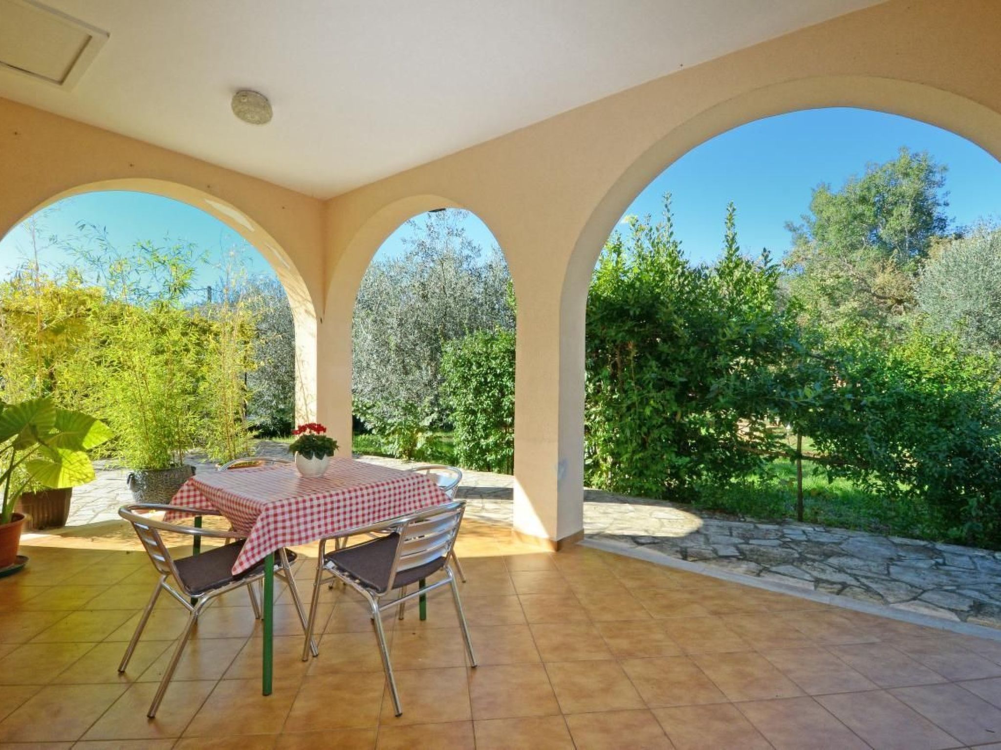 ALBINA 1-Image-tags.info