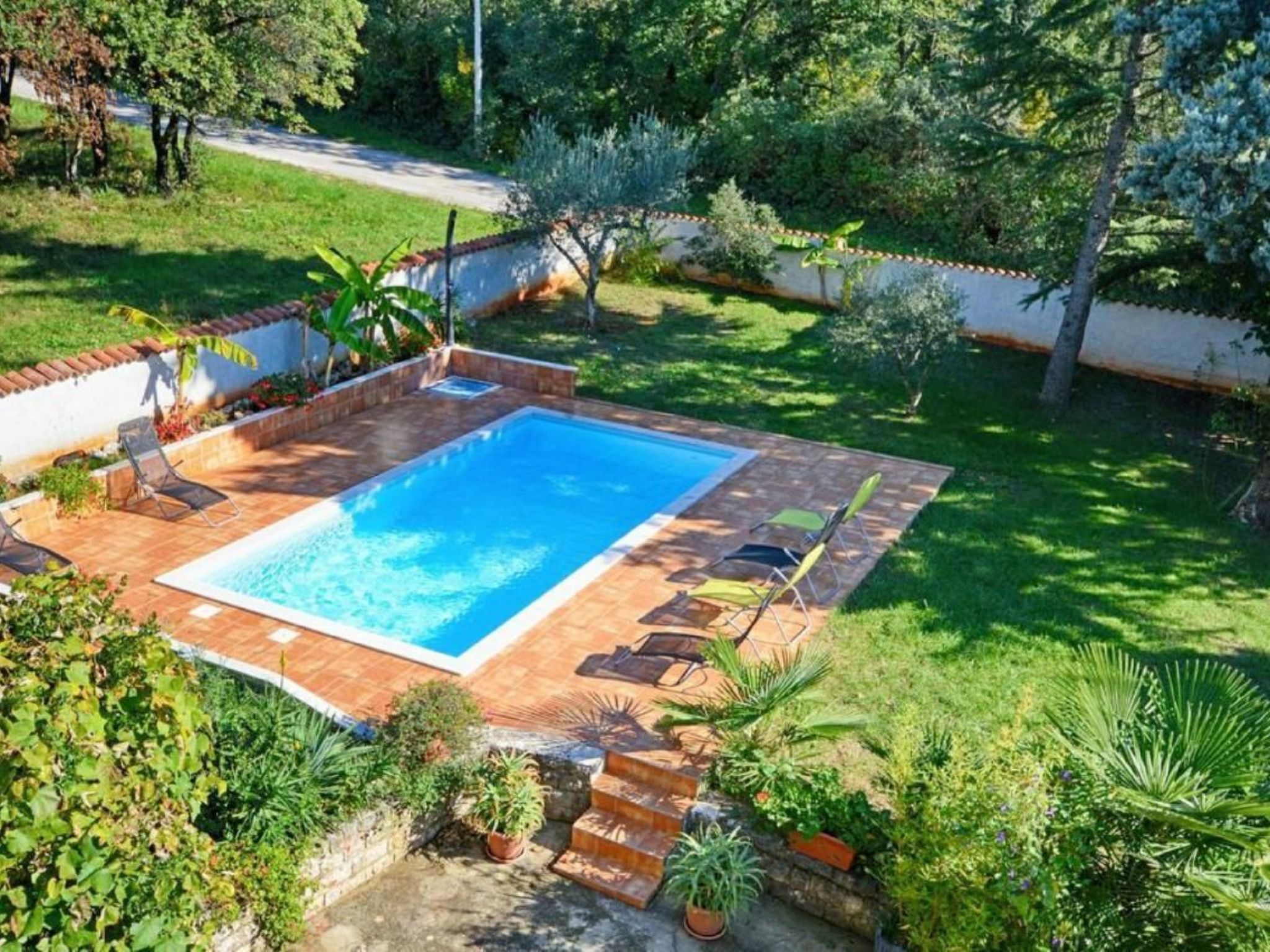 ALBINA 1-Image-tags.info