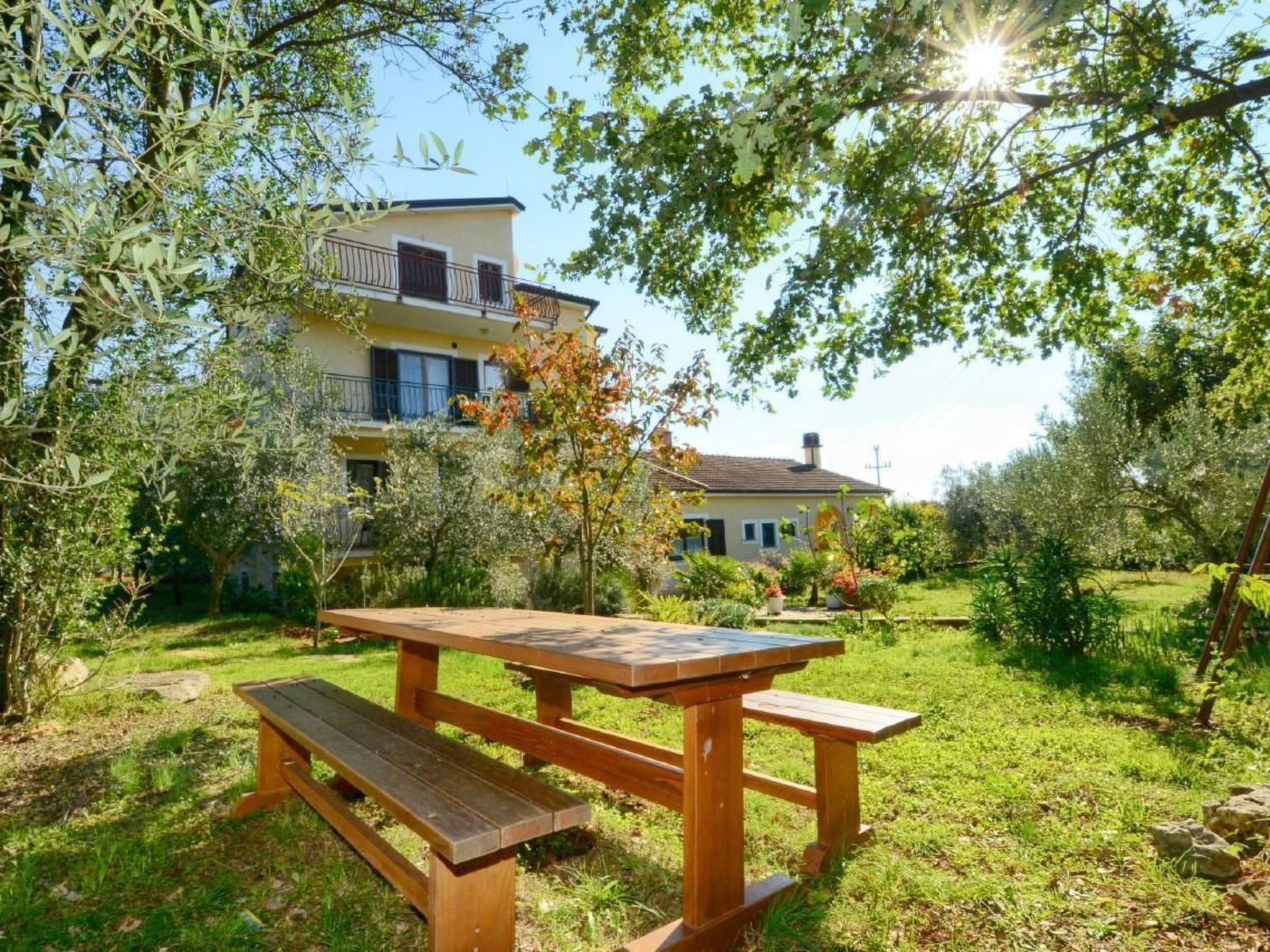 ALBINA 1-Image-tags.info