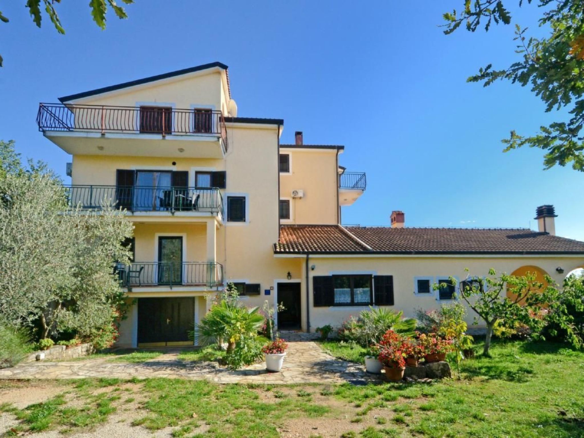 ALBINA 1-Image-tags.info