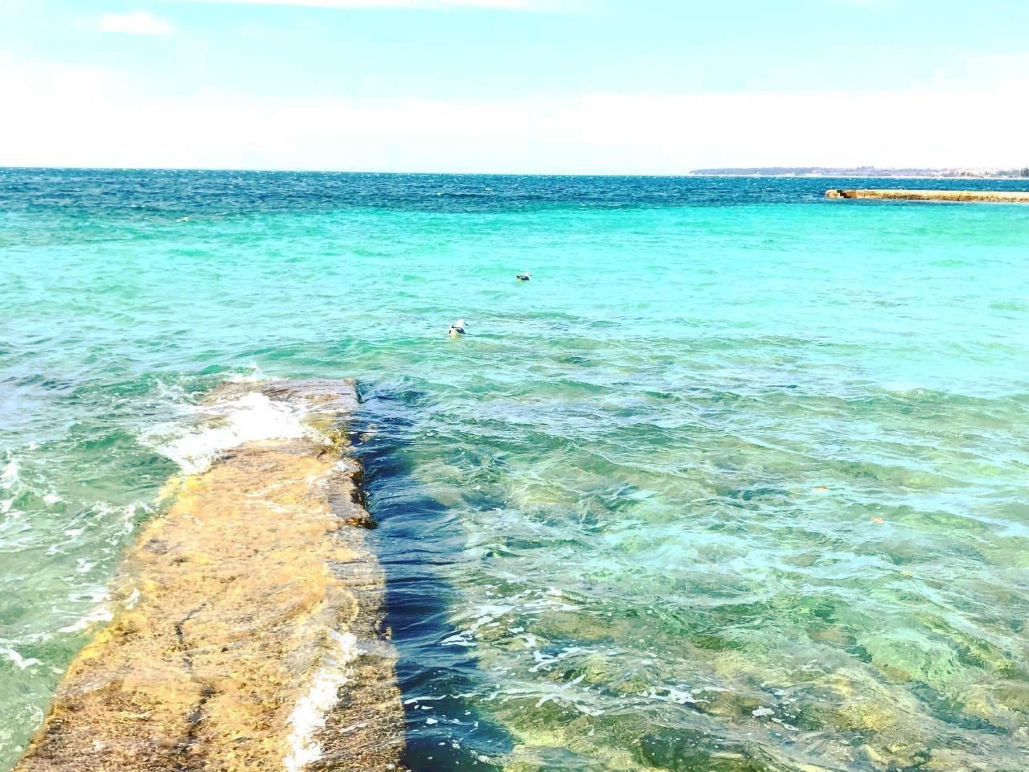 Große Wohnung in Umag mit Kleinem Balkon-Image-tags.info