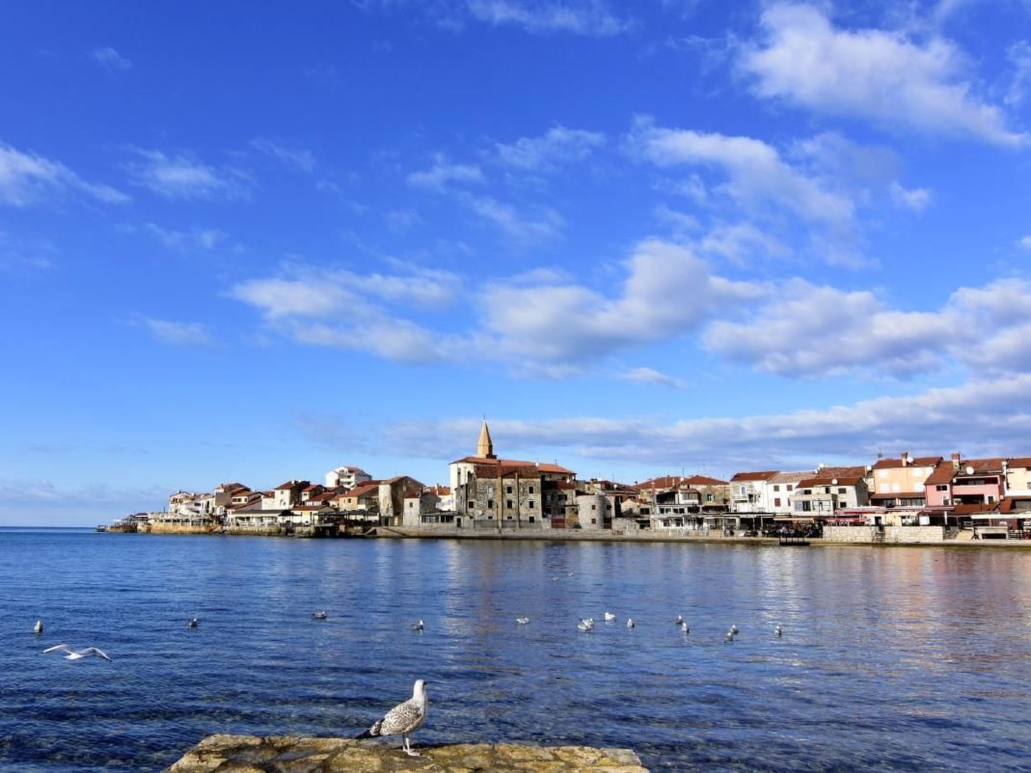 Große Wohnung in Umag mit Kleinem Balkon-Image-tags.info