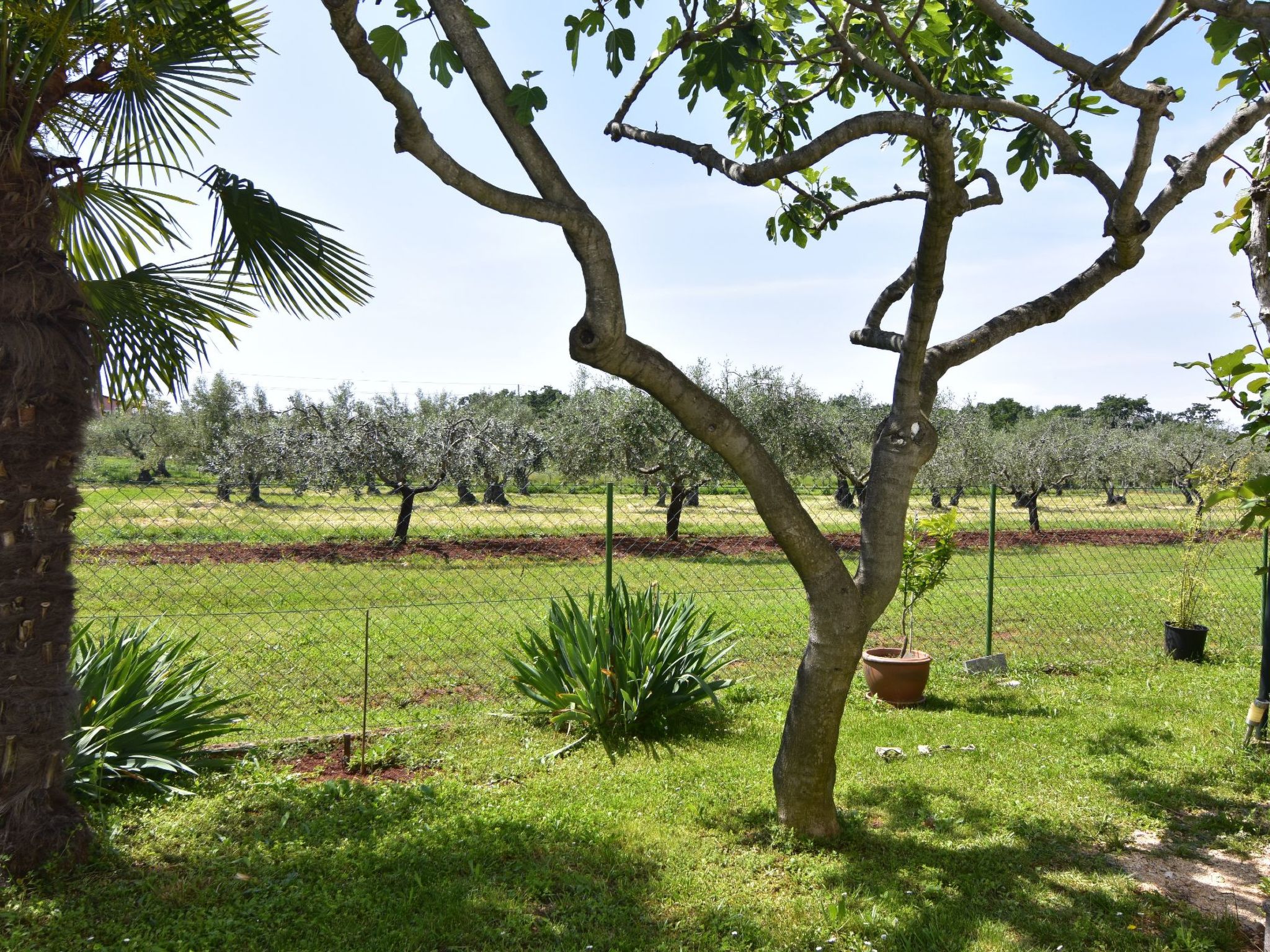 Photo of Geräumige Kellerwohnung in der Nähe von Umag