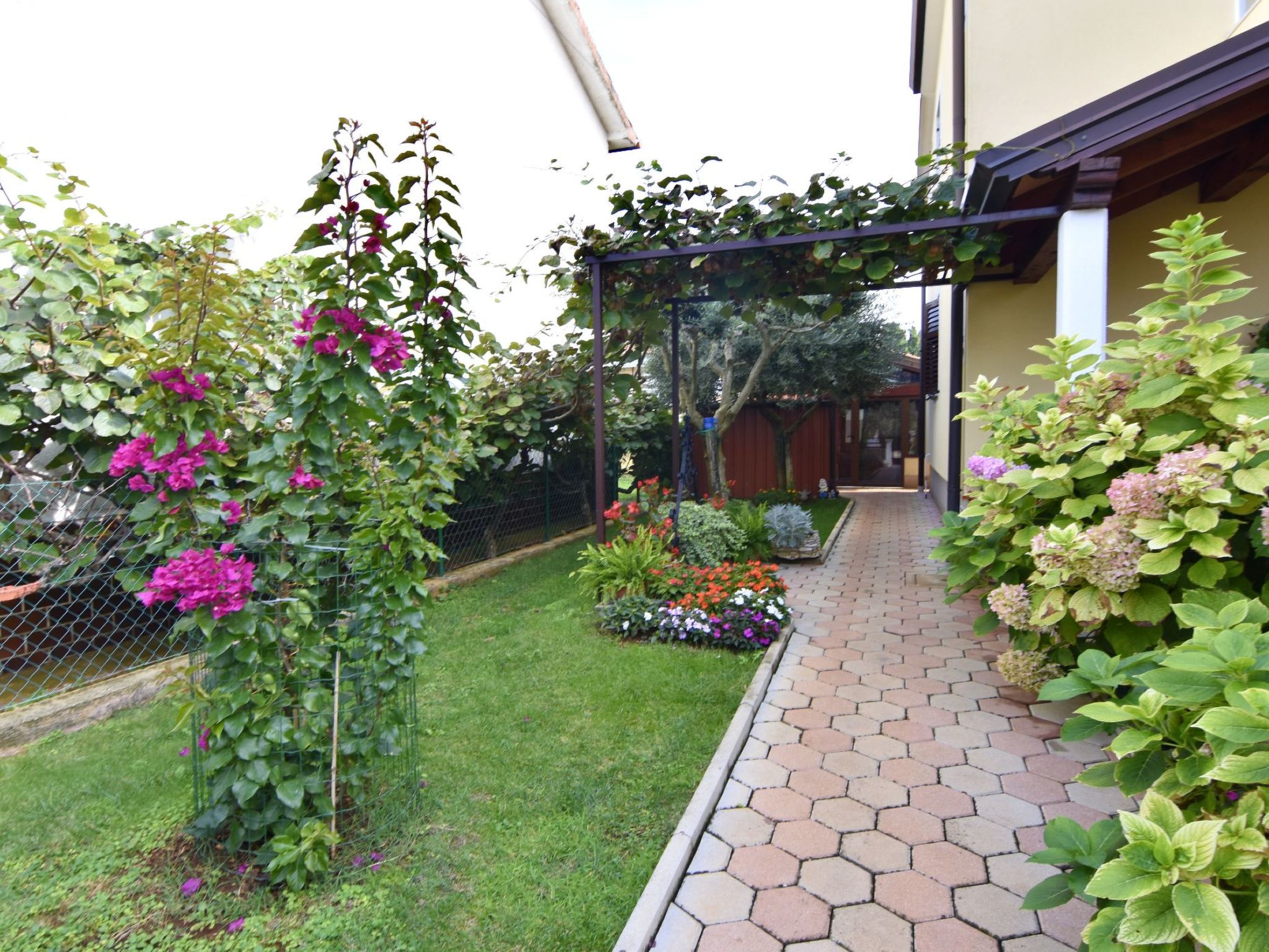 Elizabeta-Image-tags.info