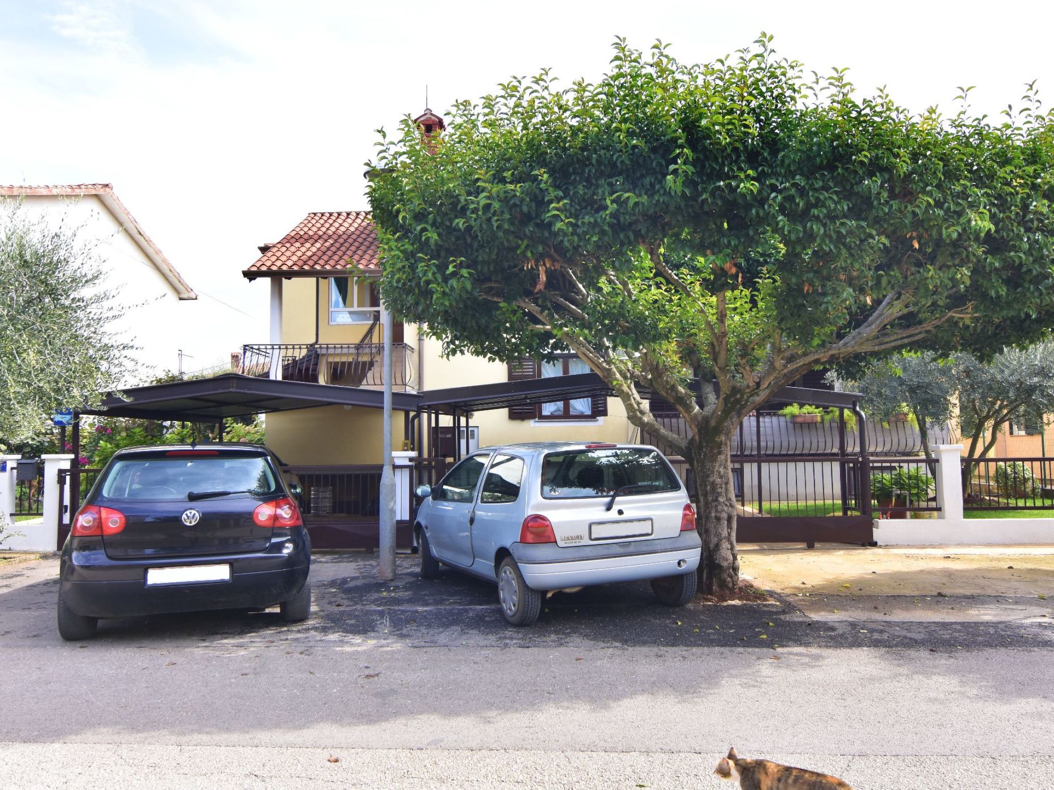 Elizabeta-Image-tags.info