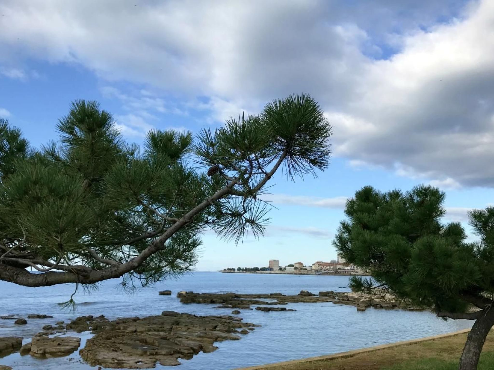 LINO B4-Image-tags.info