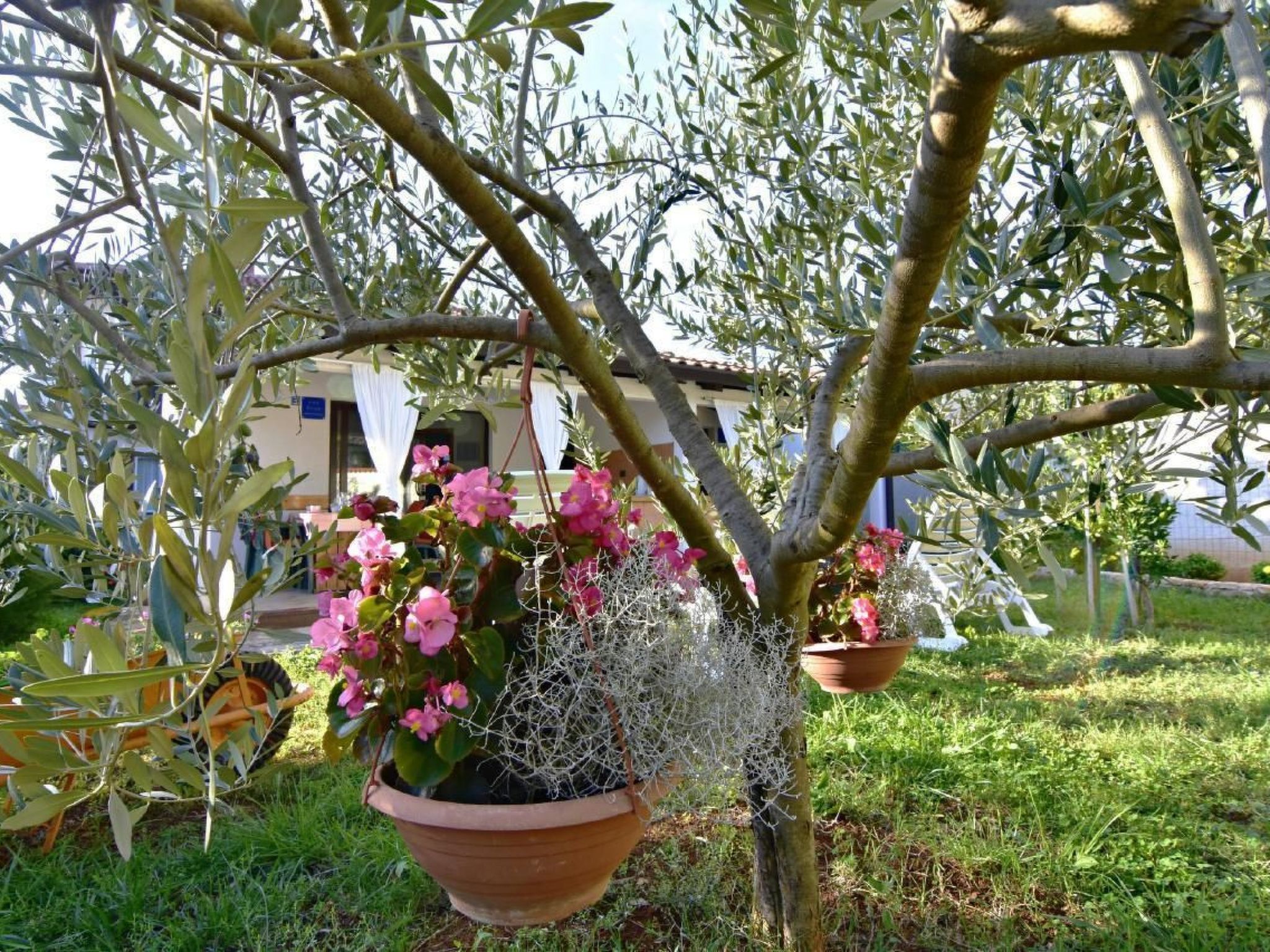 Vedrana 3 TAVERNA-Image-tags.info