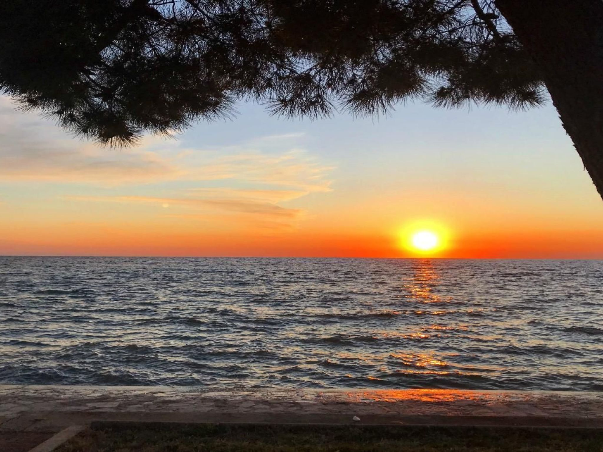 Vedrana 3 TAVERNA-Image-tags.info