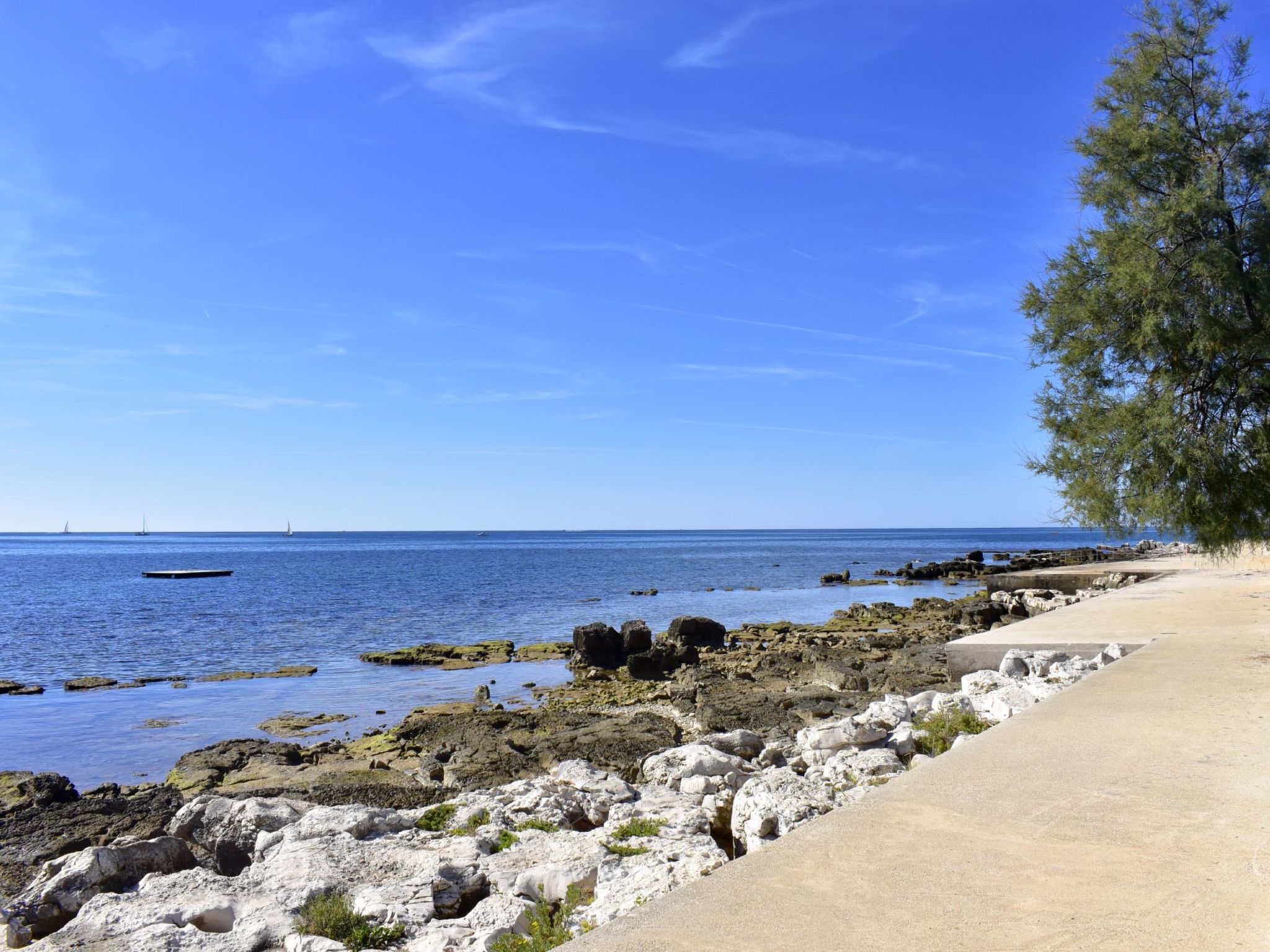 Photo of TATJANA MOELA