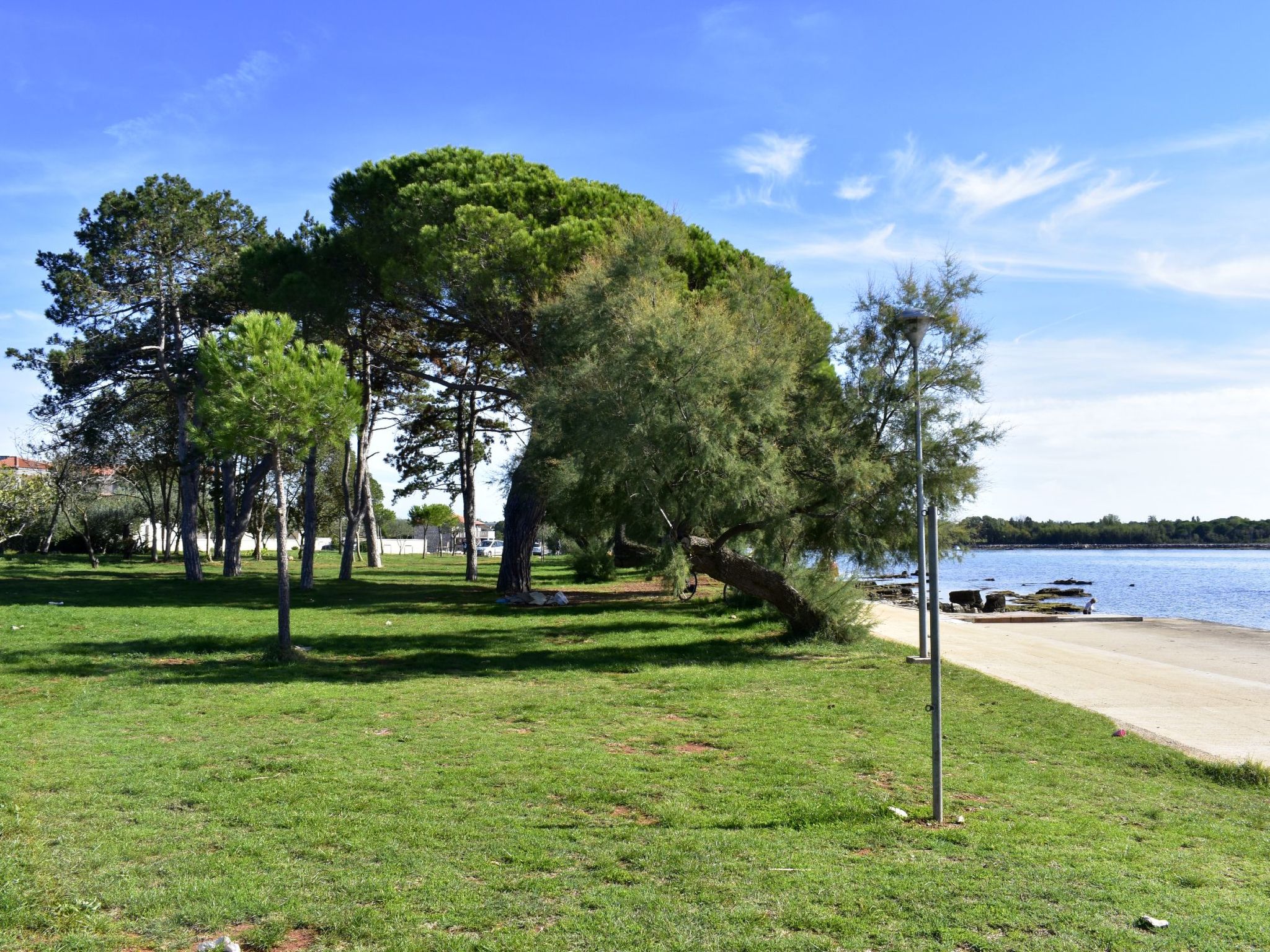 Photo of TATJANA MOELA