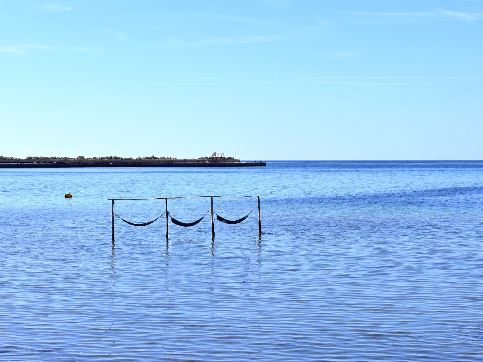 Photo of TATJANA MOELA