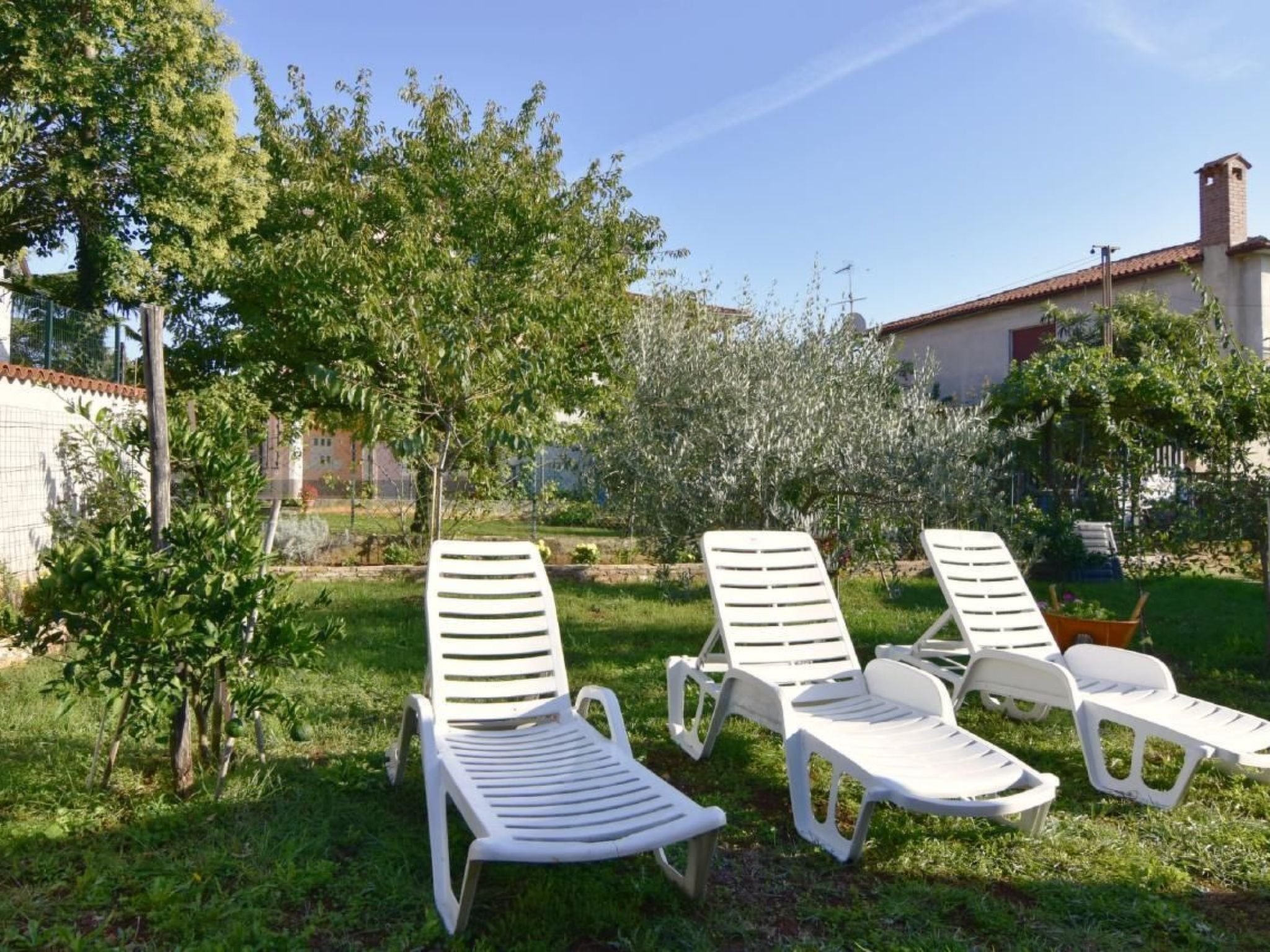 Vedrana 4-Image-tags.info