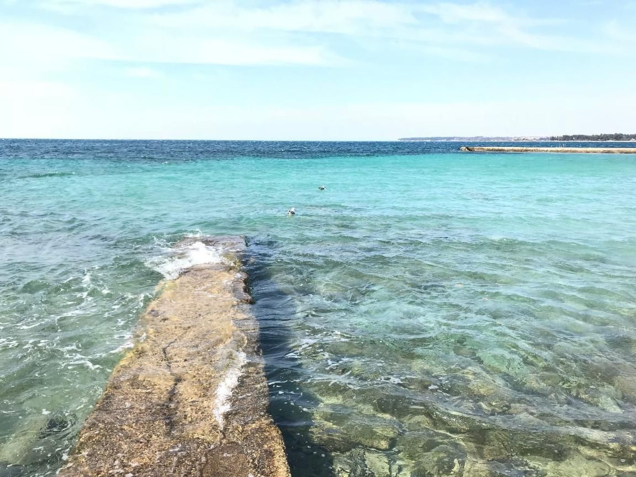 Vedrana 4-Image-tags.info