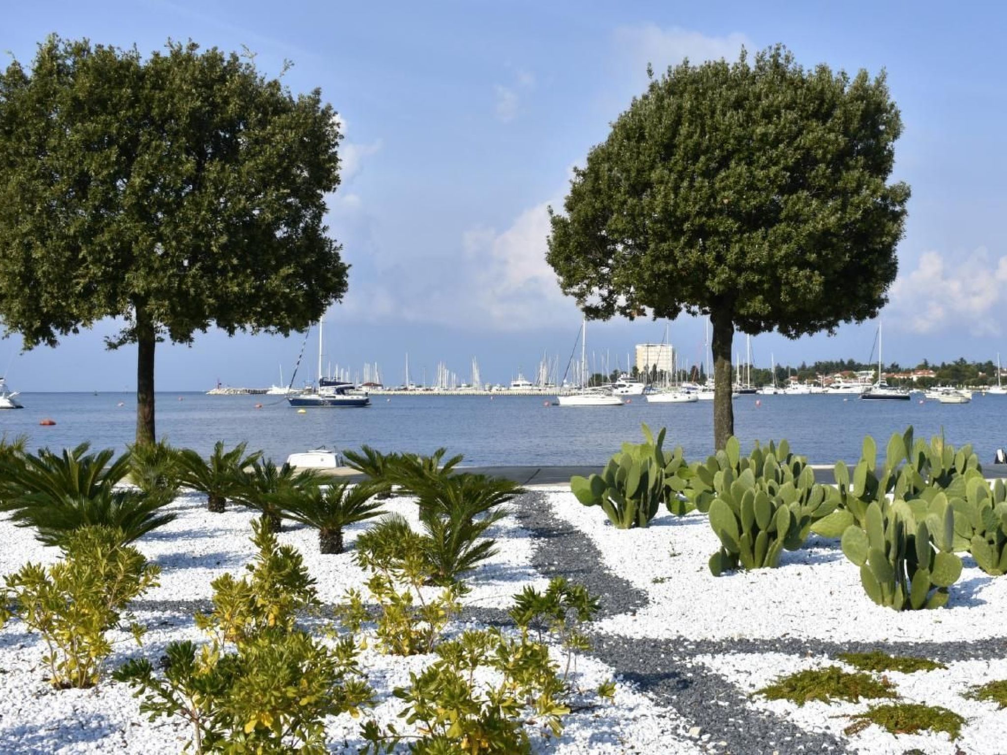 Vedrana 4-Image-tags.info