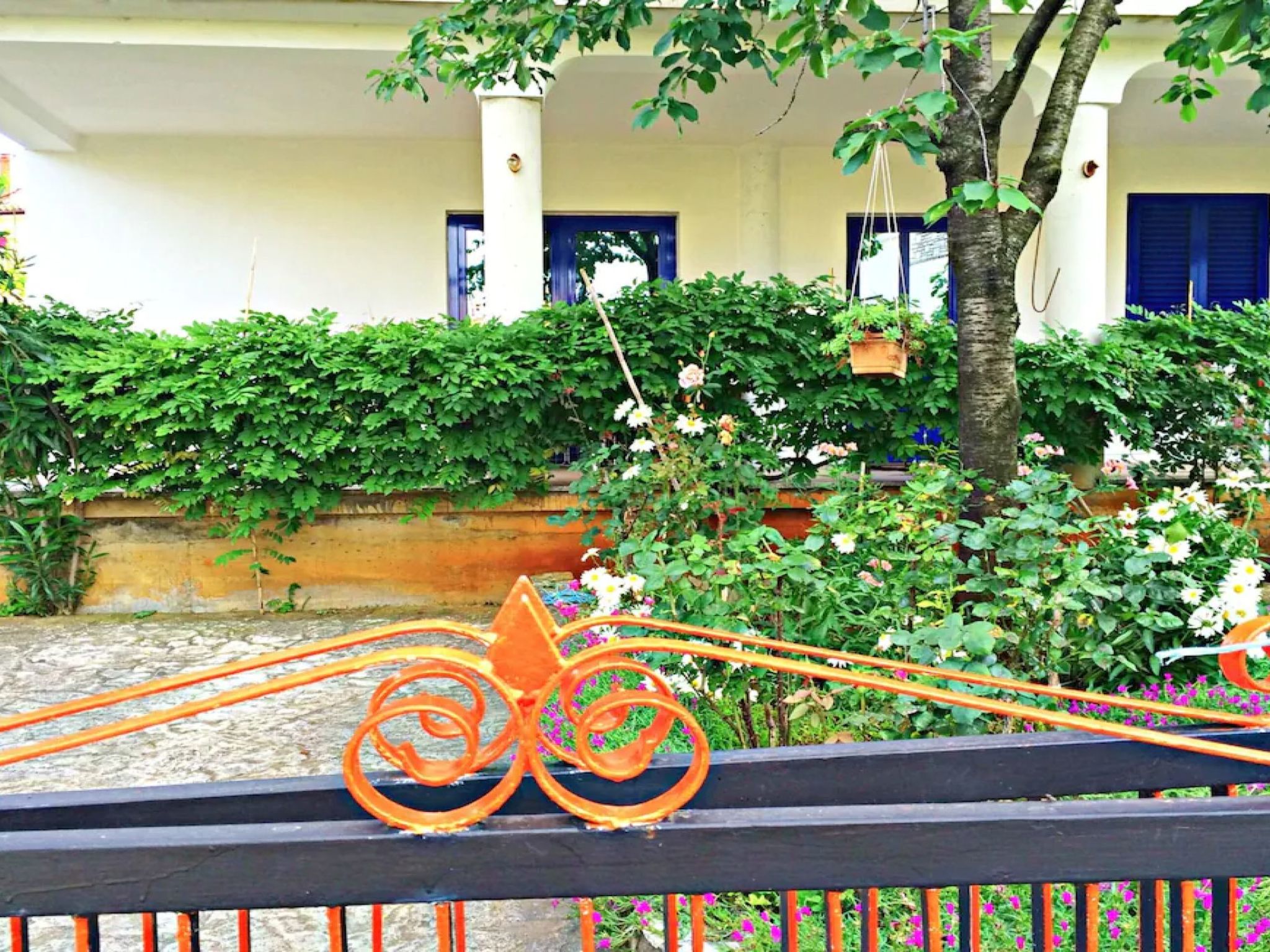 Photo of Gilda Punta B4