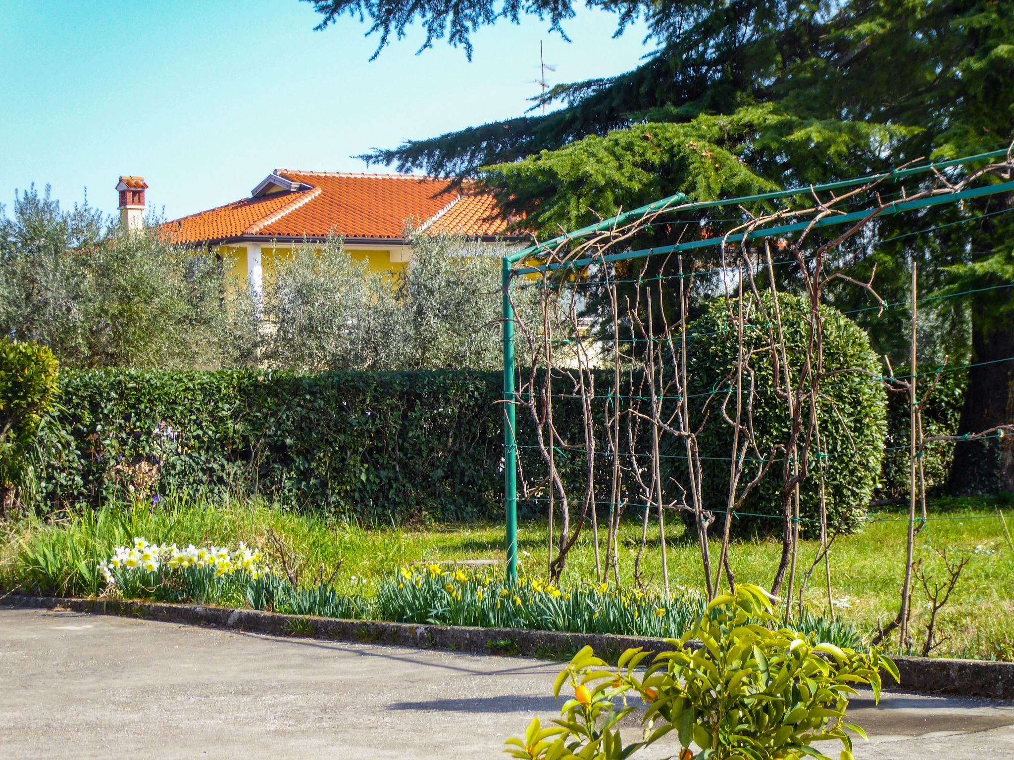 Photo of Wohnung Valerija