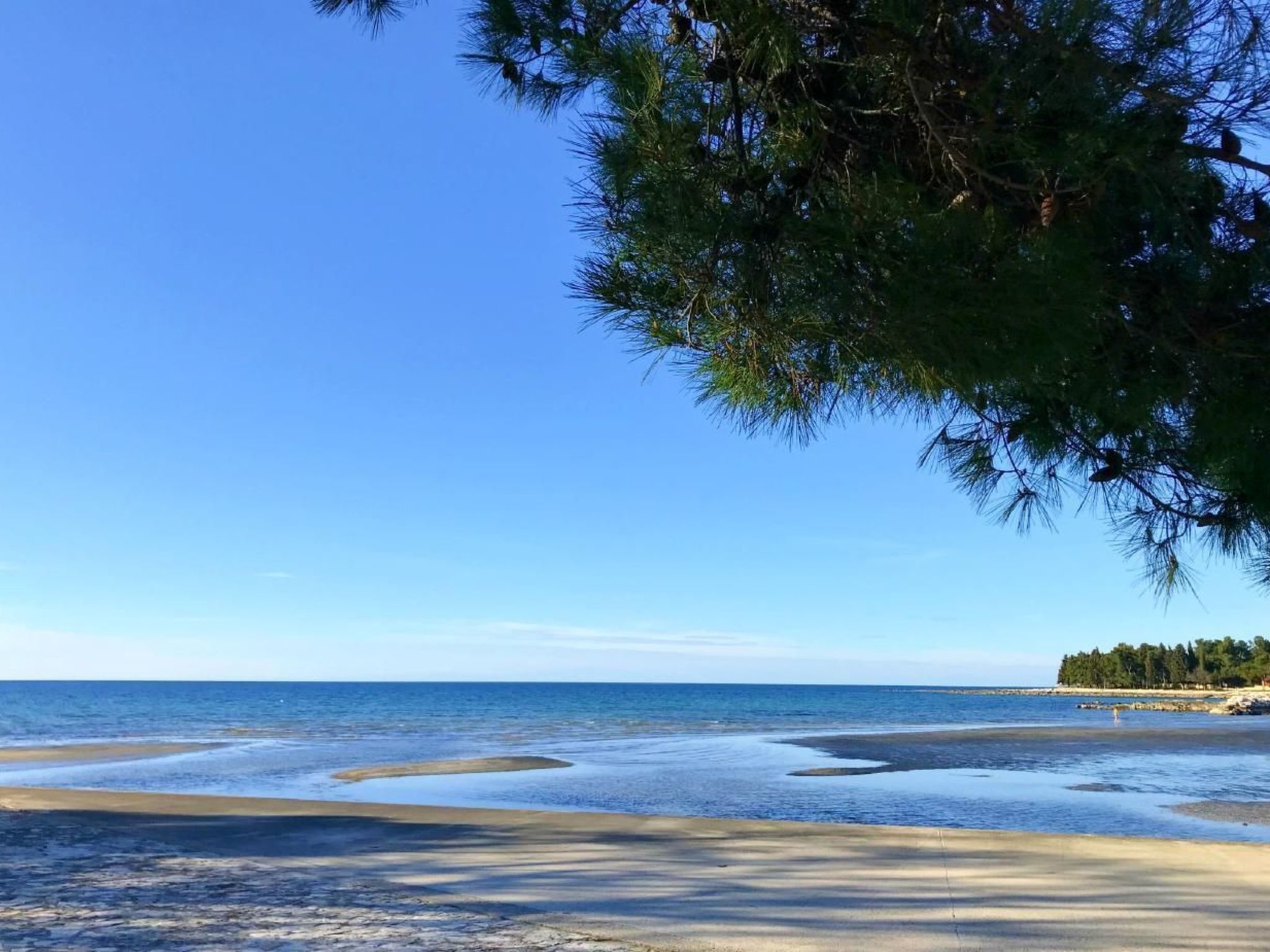 Diva-Image-tags.info