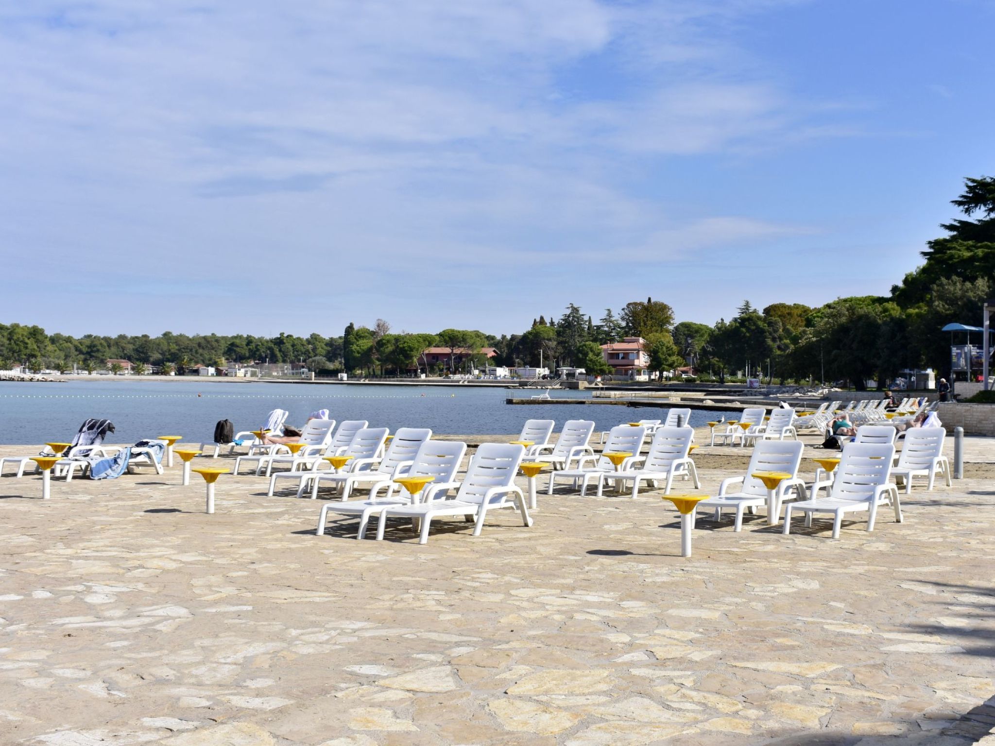 Martina B4-Image-tags.info