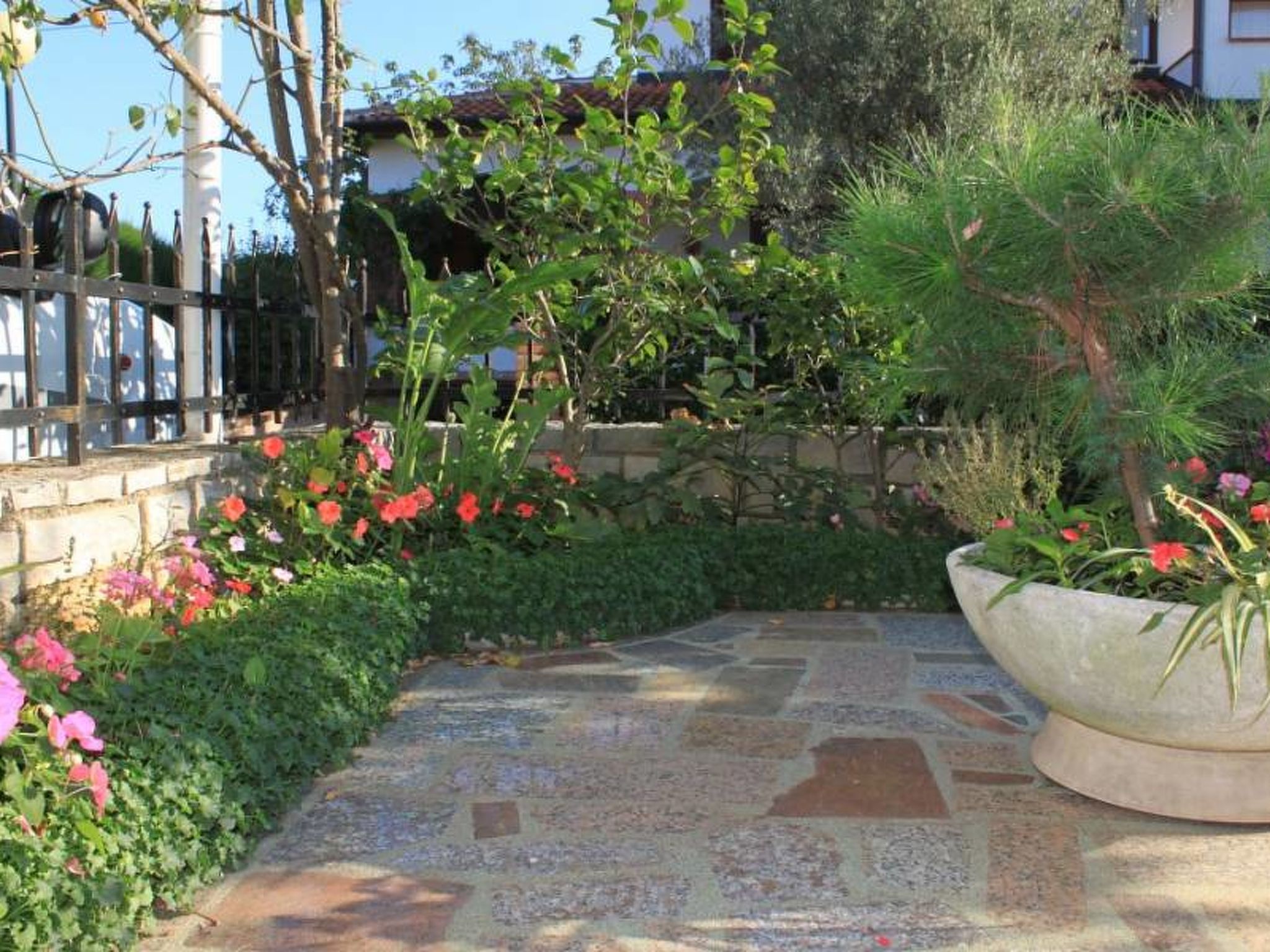 Photo of Apartment 356