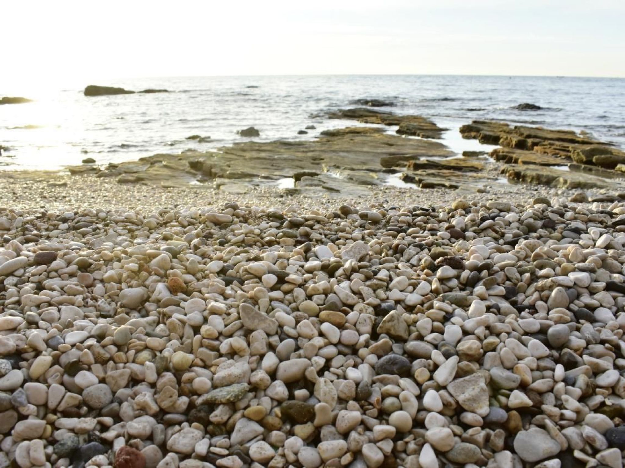 APARTMENT TONI-Binnen