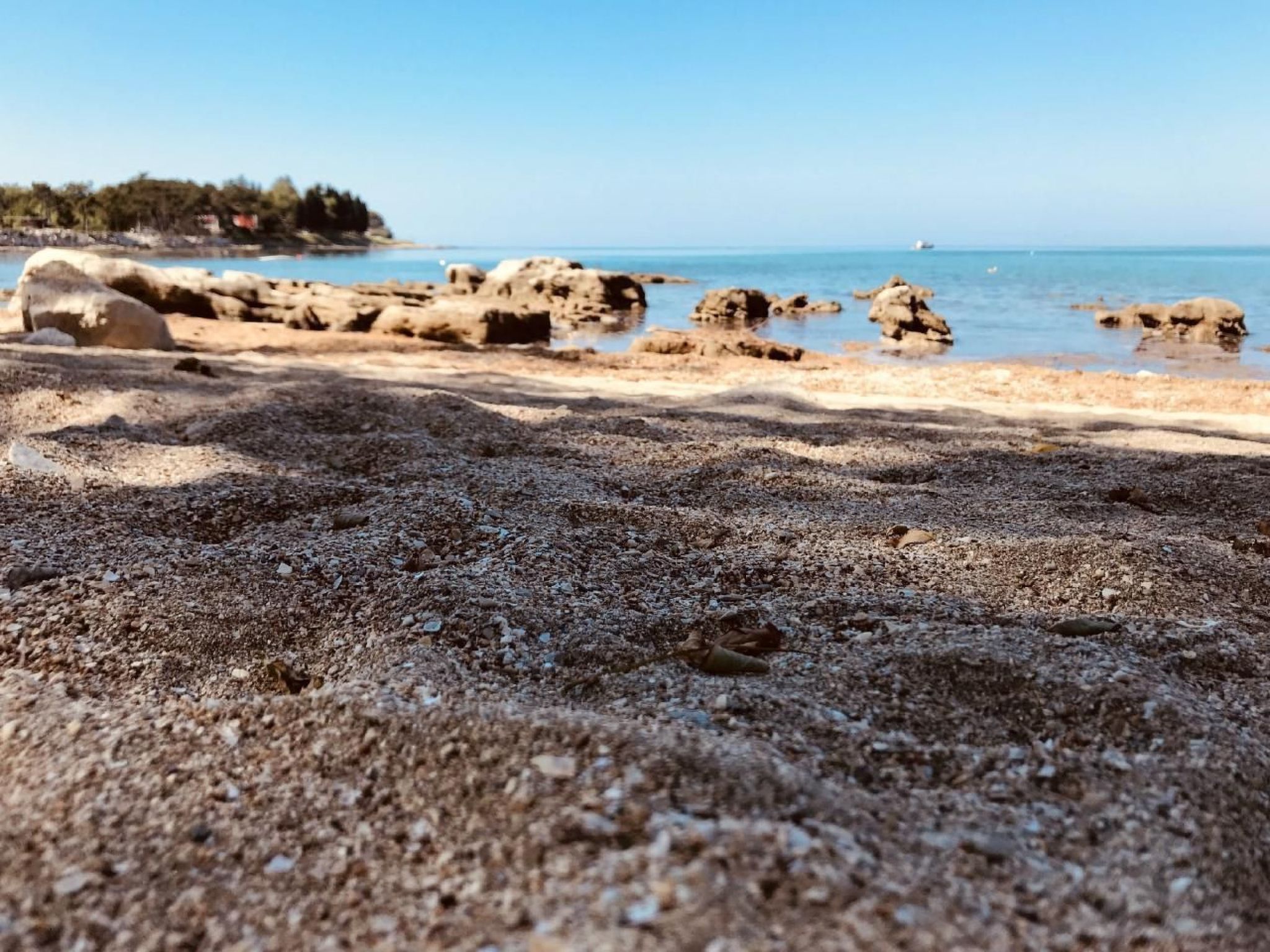 APARTMENT TONI-Binnen