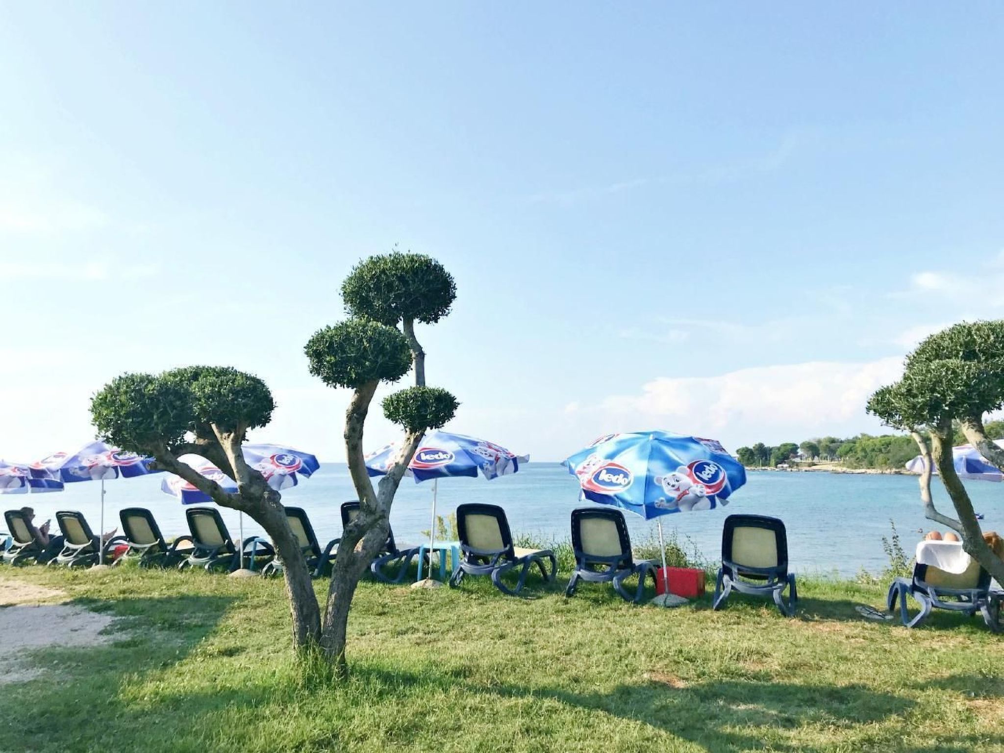 APARTMENT TONI-Binnen