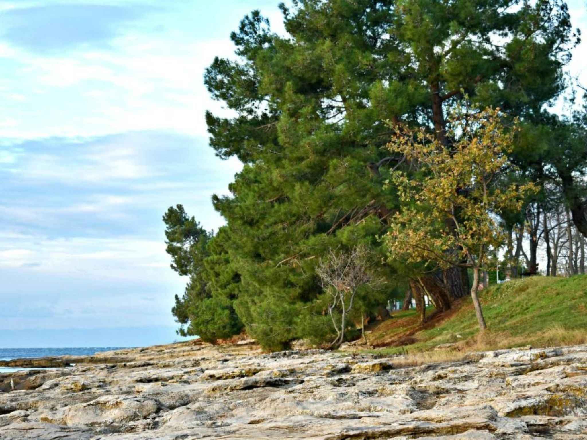 APARTMENT TONI-Binnen