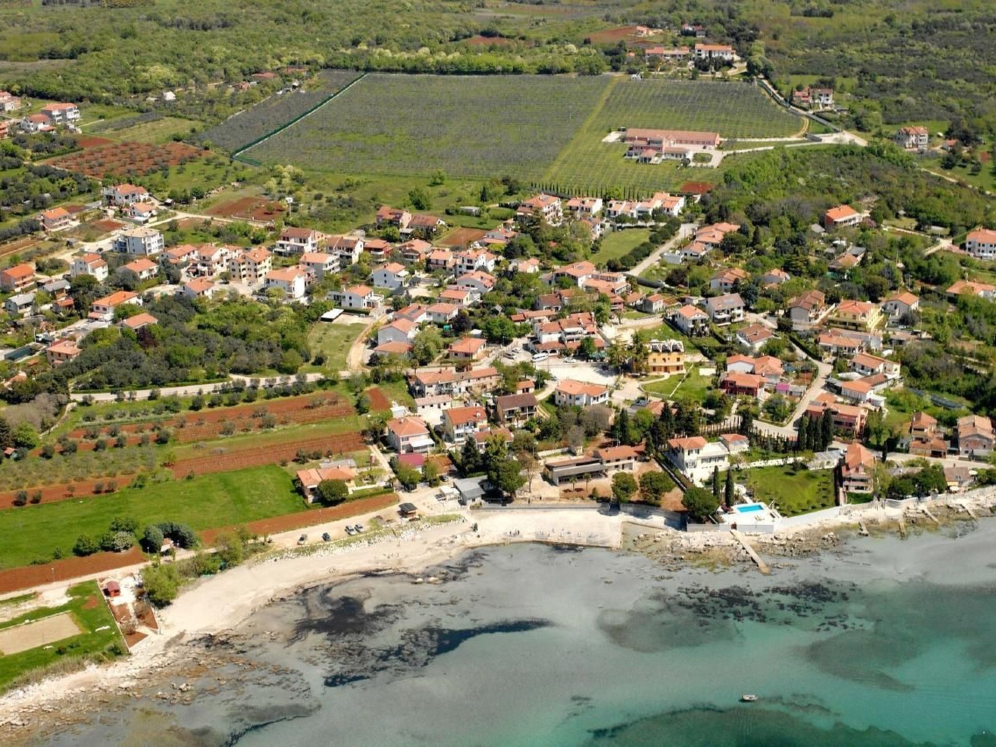 APP EVA-Image-tags.info