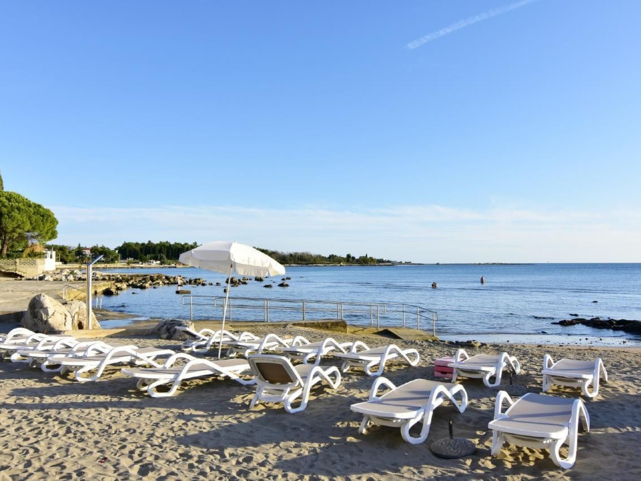 APP EVA-Image-tags.info