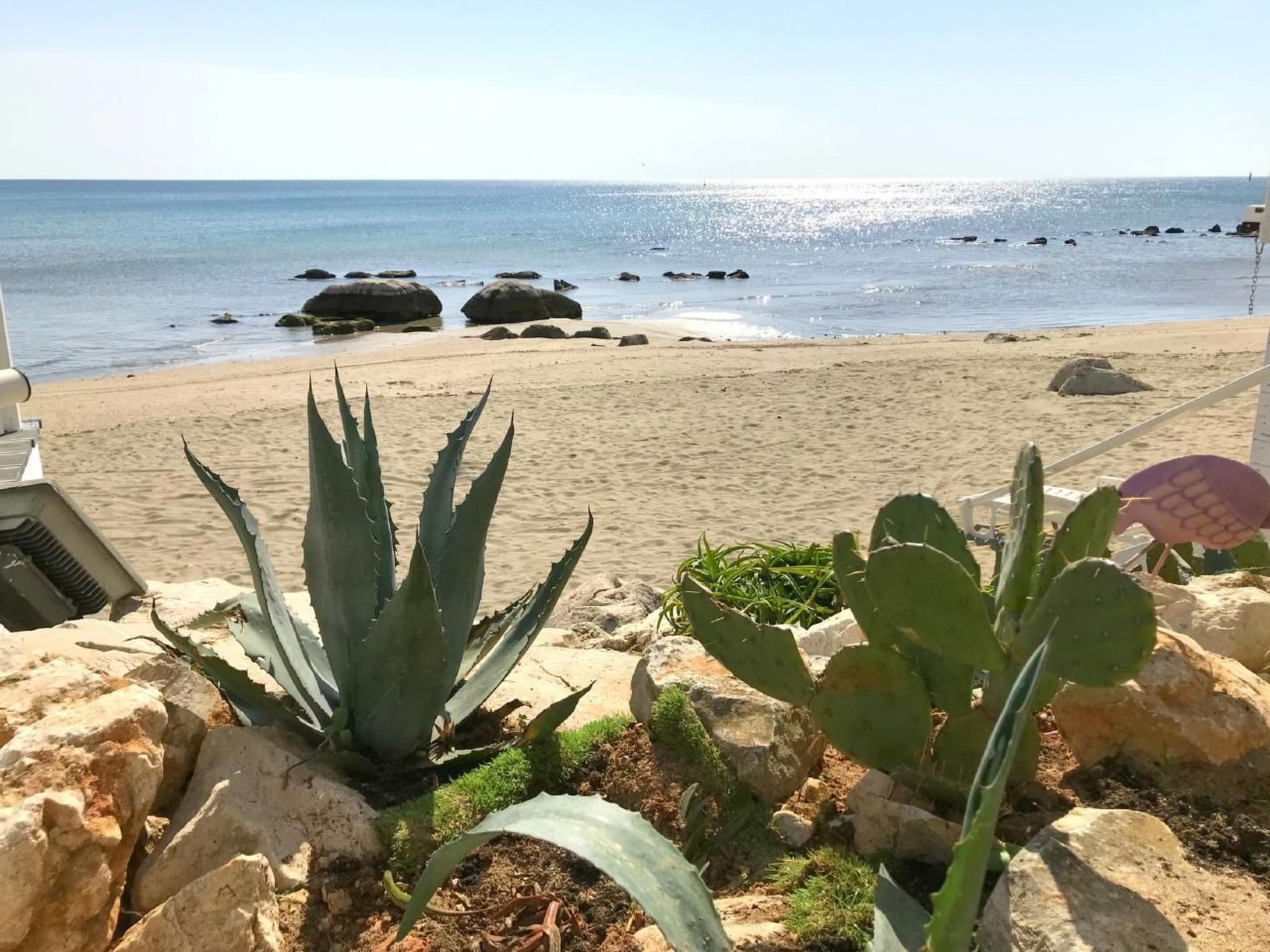 APP EVA-Image-tags.info