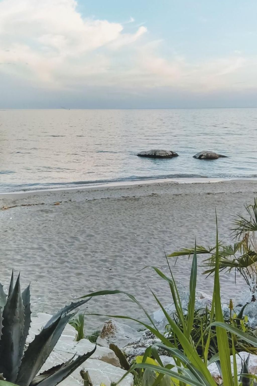 APP EVA-Image-tags.info